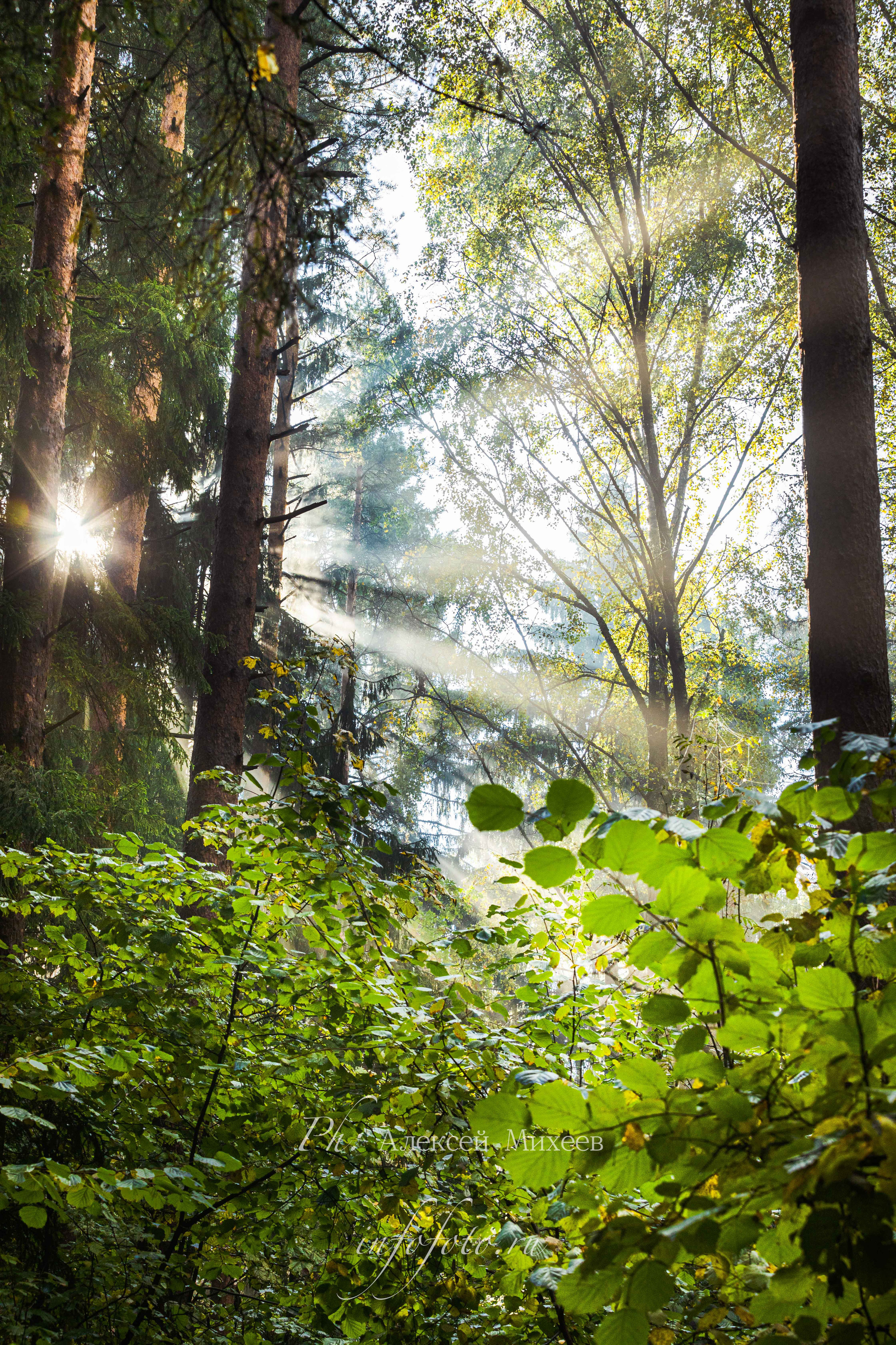 Природа. Алексей Михеев Фотограф г. Москва
