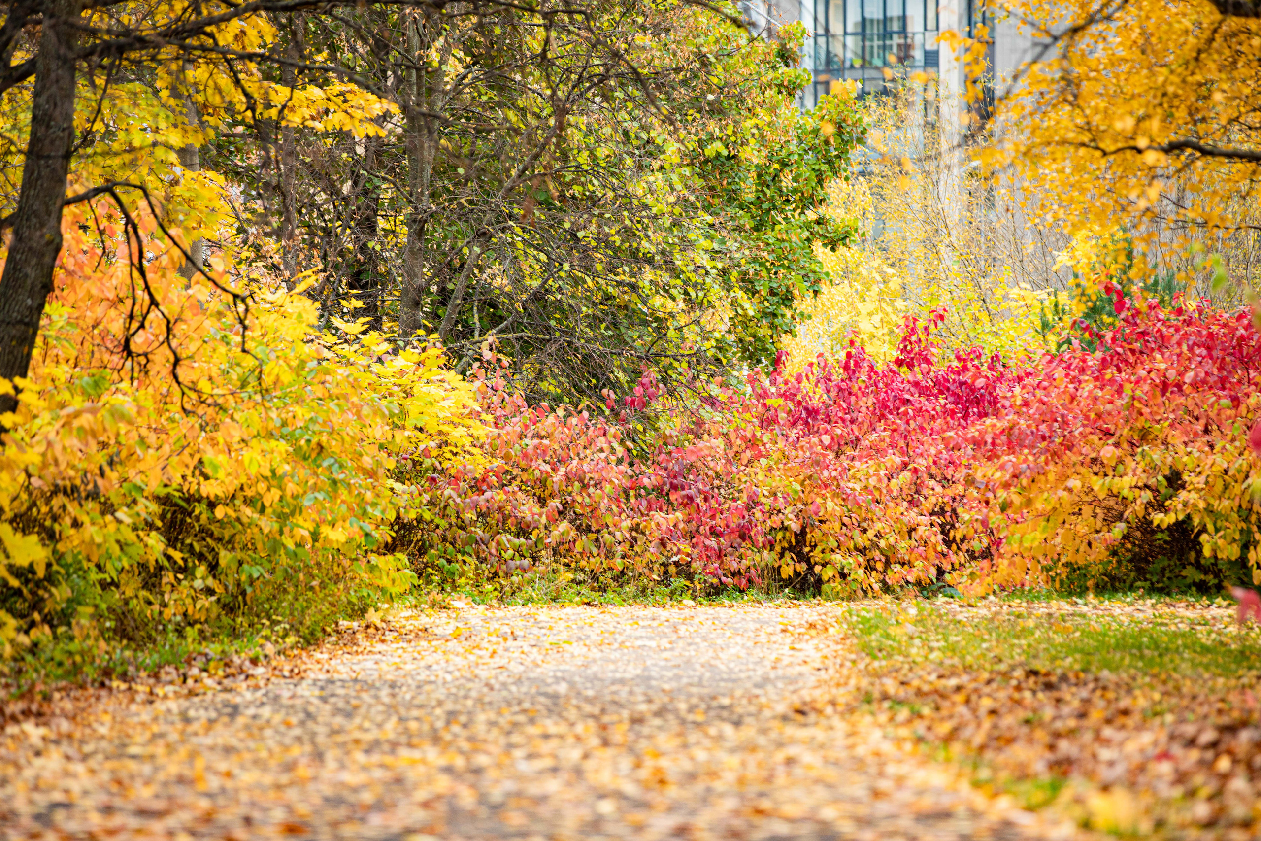 Природа. Алексей Михеев Фотограф г. Москва