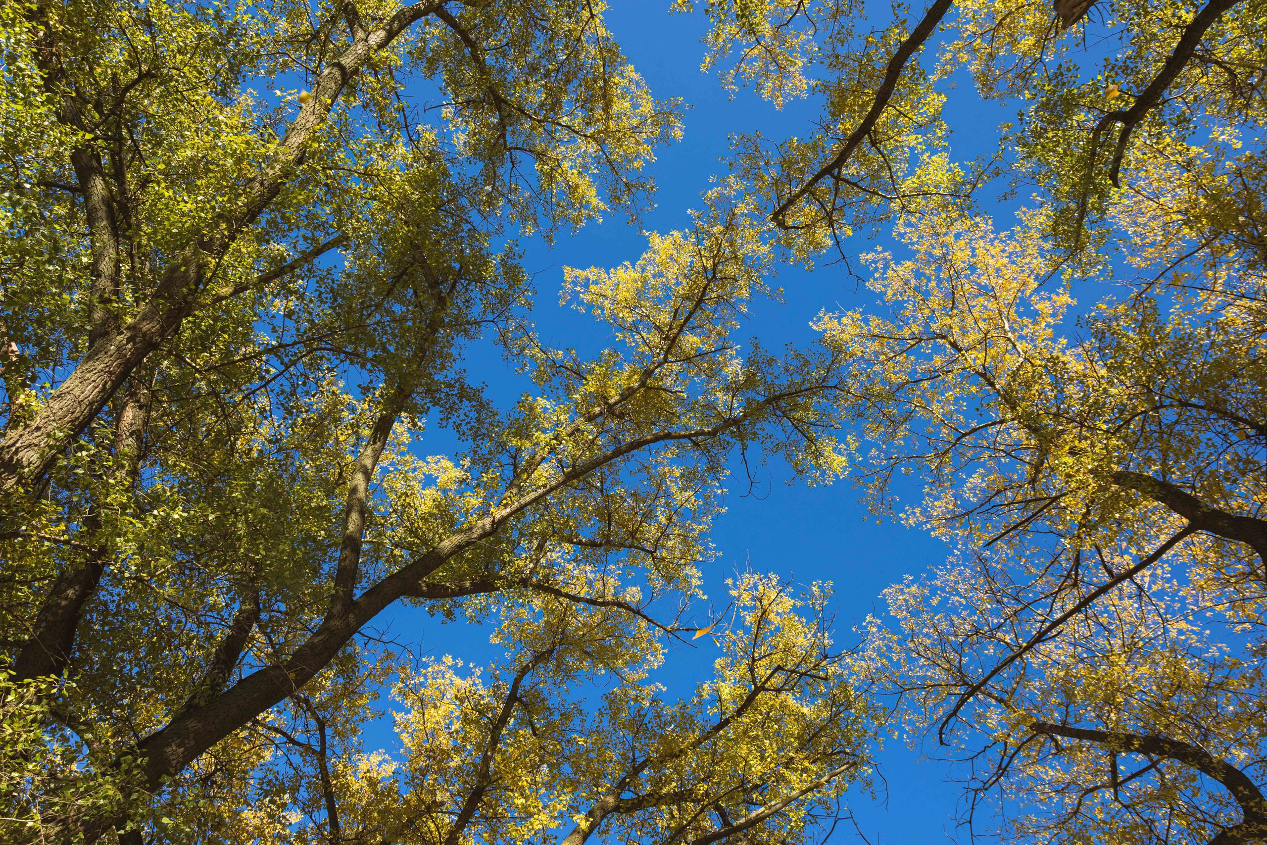 Природа. Алексей Михеев Фотограф г. Москва