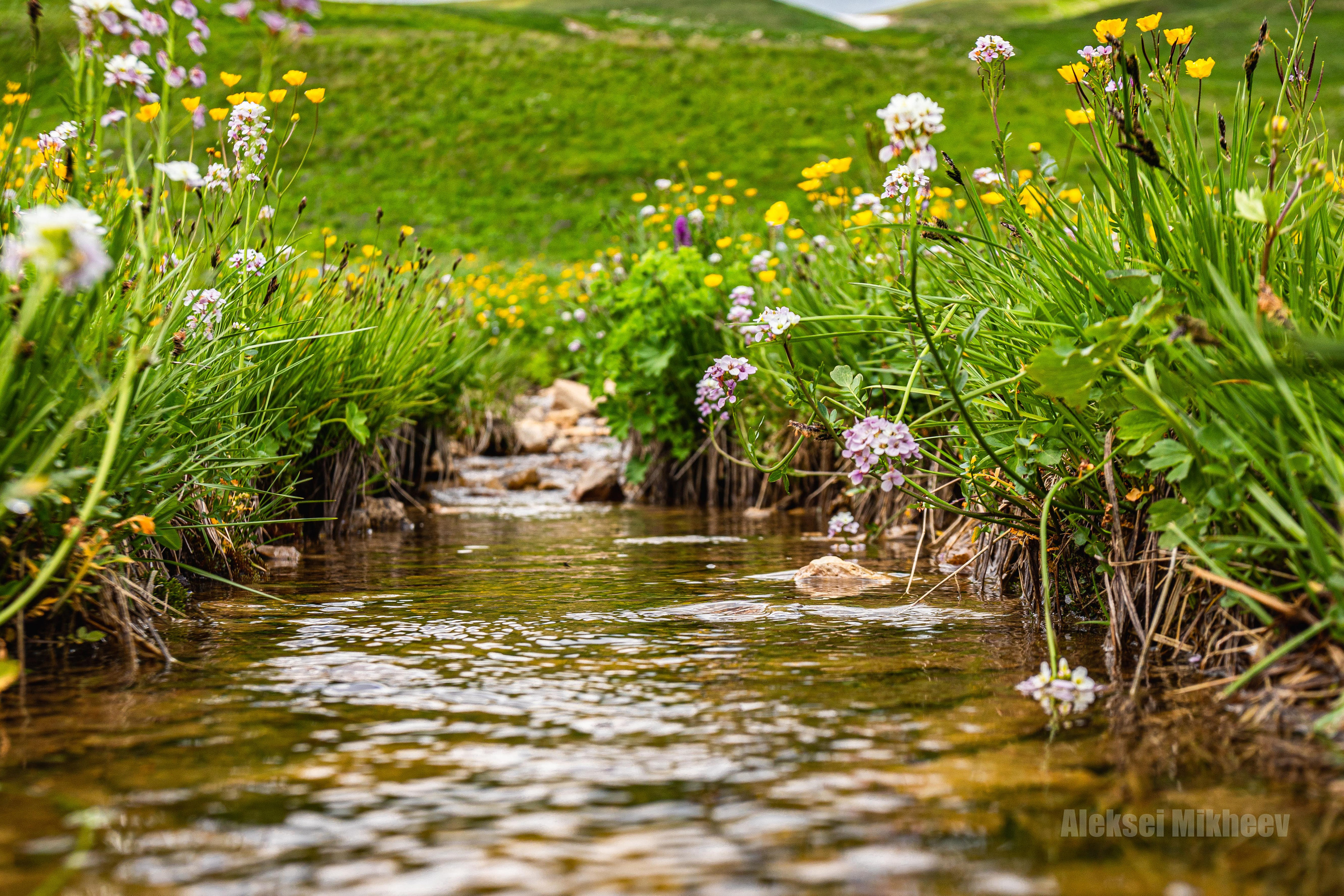 Природа. Алексей Михеев Фотограф г. Москва