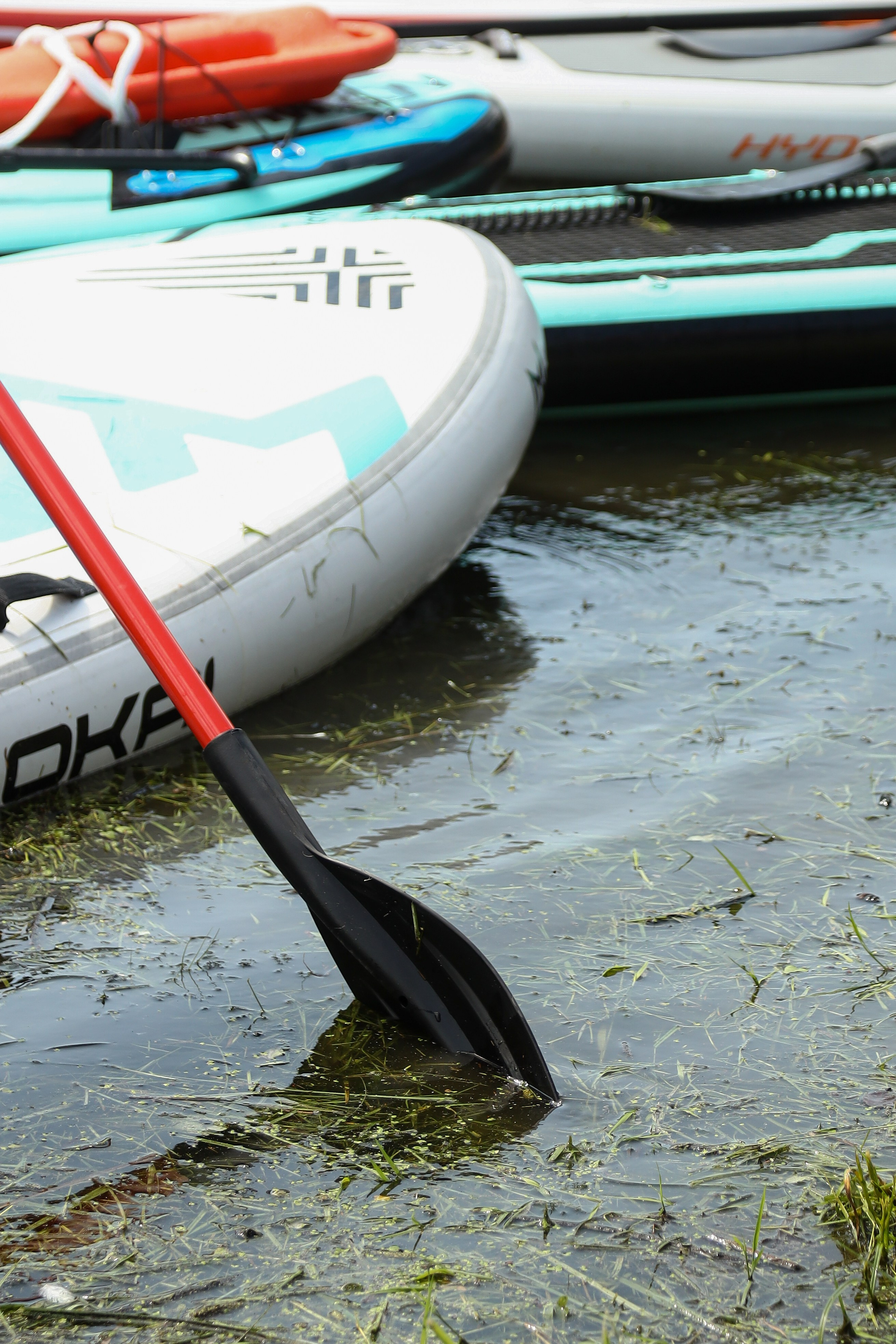 Летний корпоратив Arlight. Фотограф Антон Чупринин