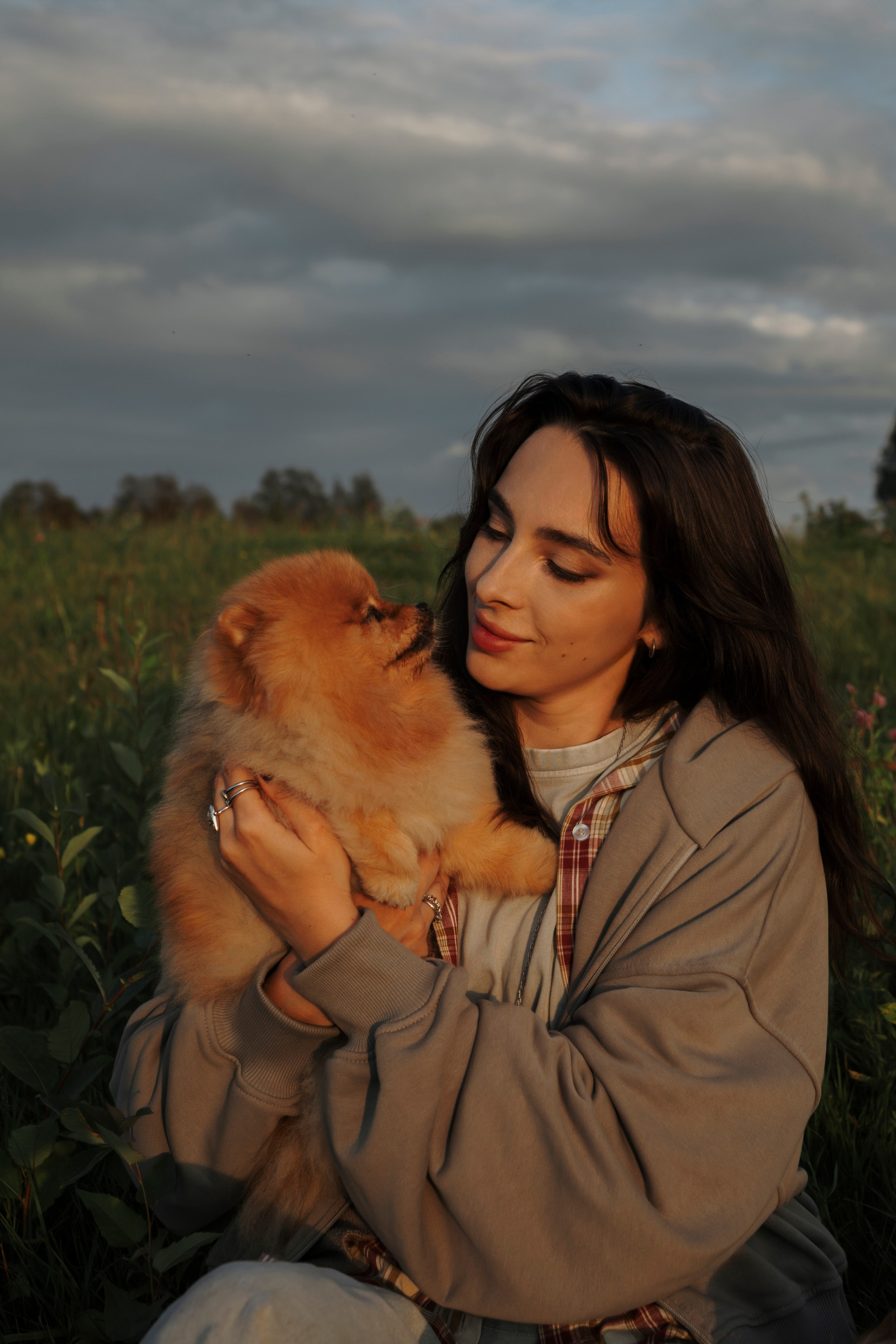 На закате Катерина, Луна и Рикки. Фотограф-анималист в Санкт-Петеребурге Титова Алиса