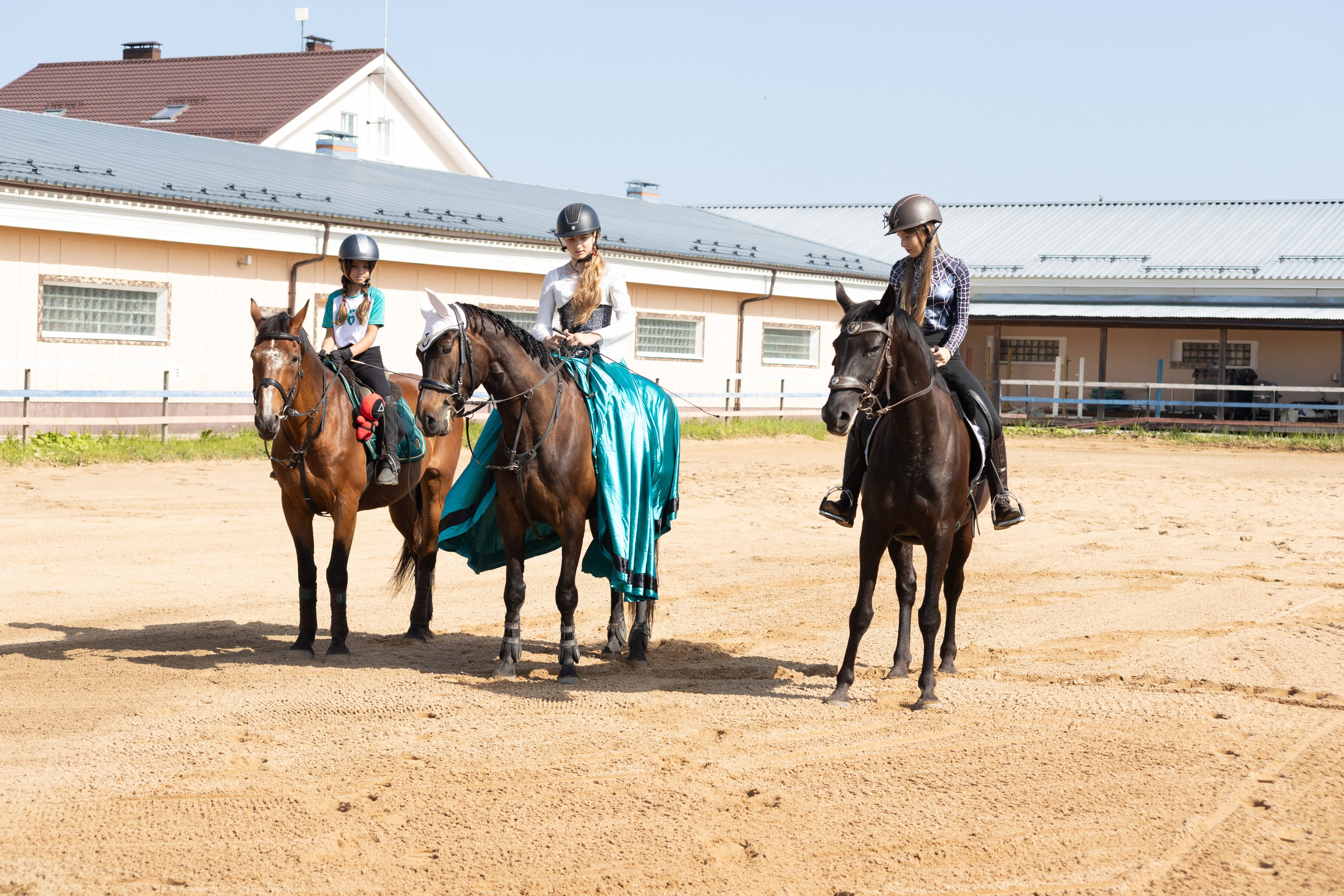 Конюшня. Фотограф в Москве и Истре