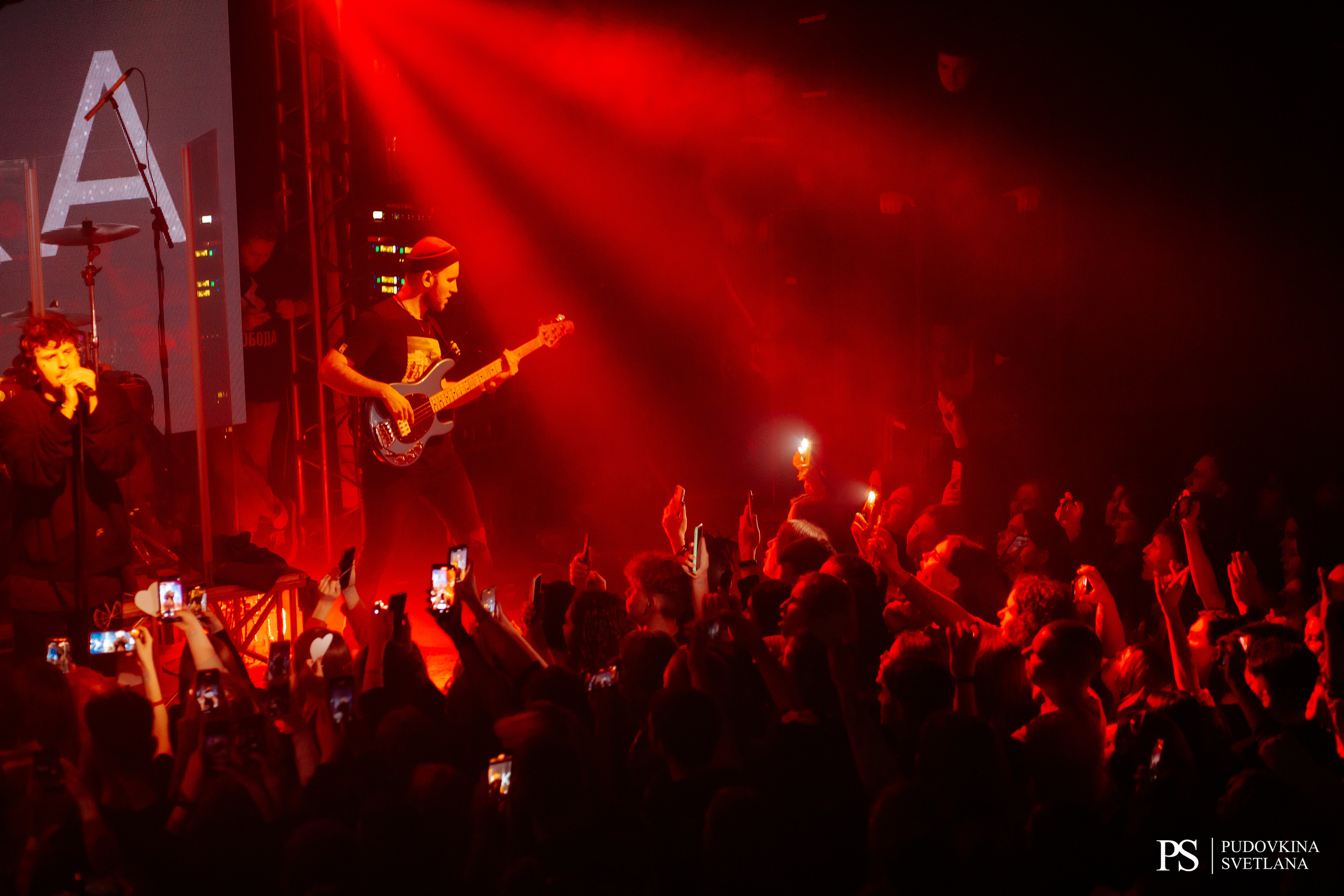 Мукка. Звезда. Фотограф Тольятти Светлана Пудовкина