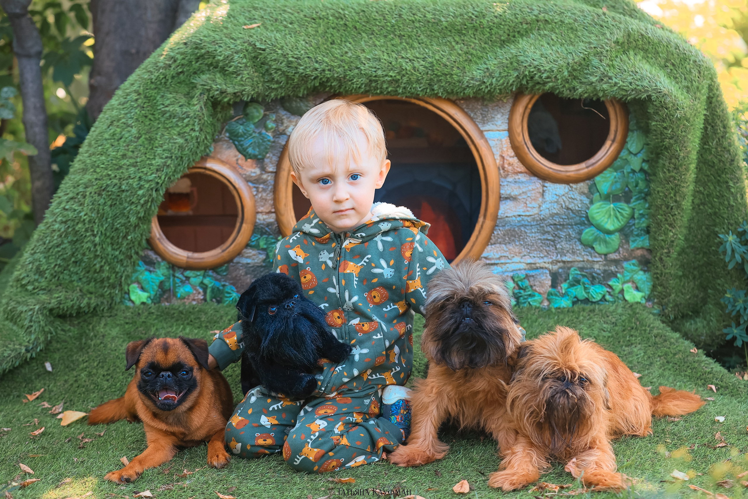 Домик для хоббитов, фотозона, властелин колец, шир, хоббиты, гномы, брюссельский гриффон, малый брабансон, фотосессия, ручная работа, фотограф анималист, фотограф Новосибирск