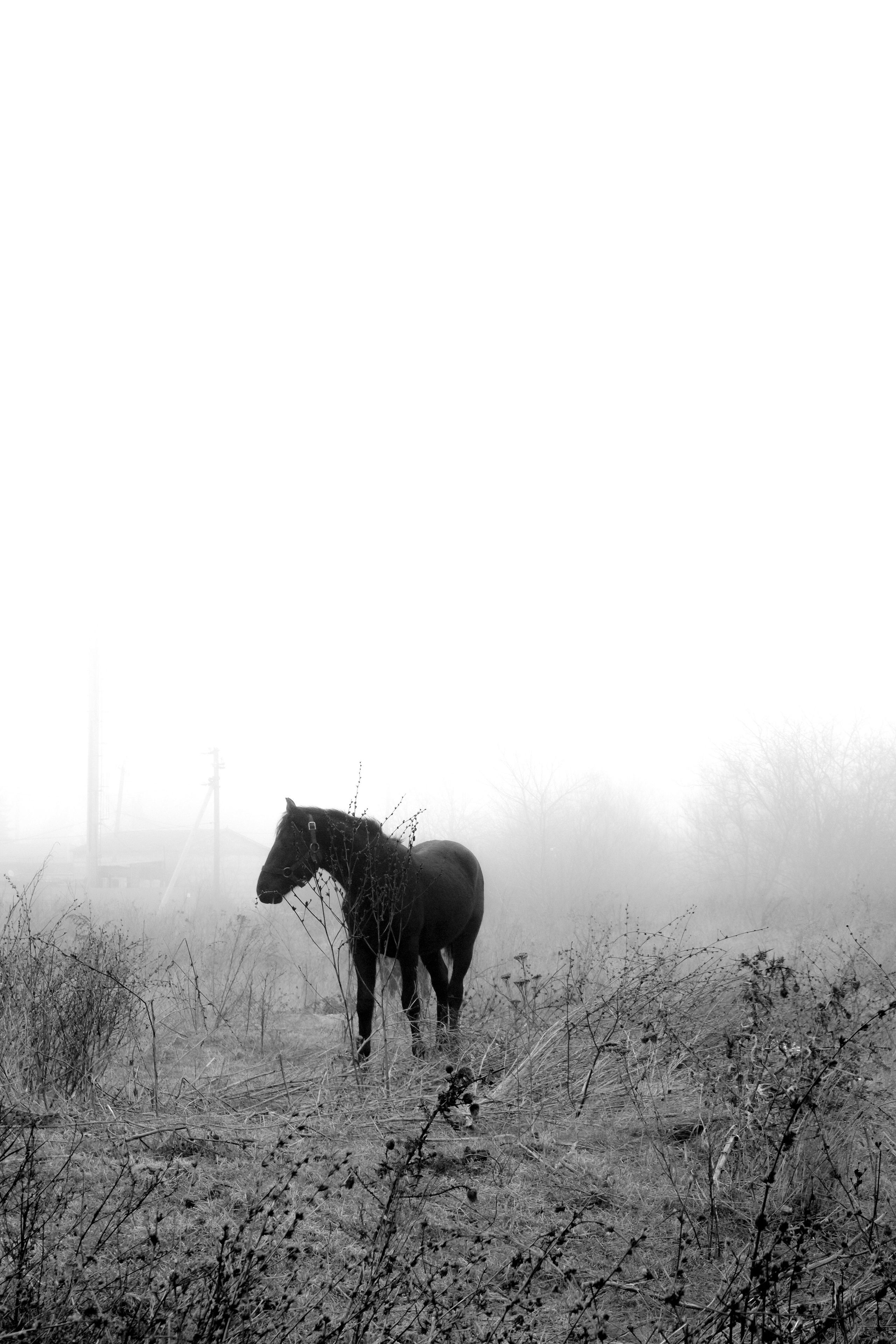 Люди. Documentary photographer