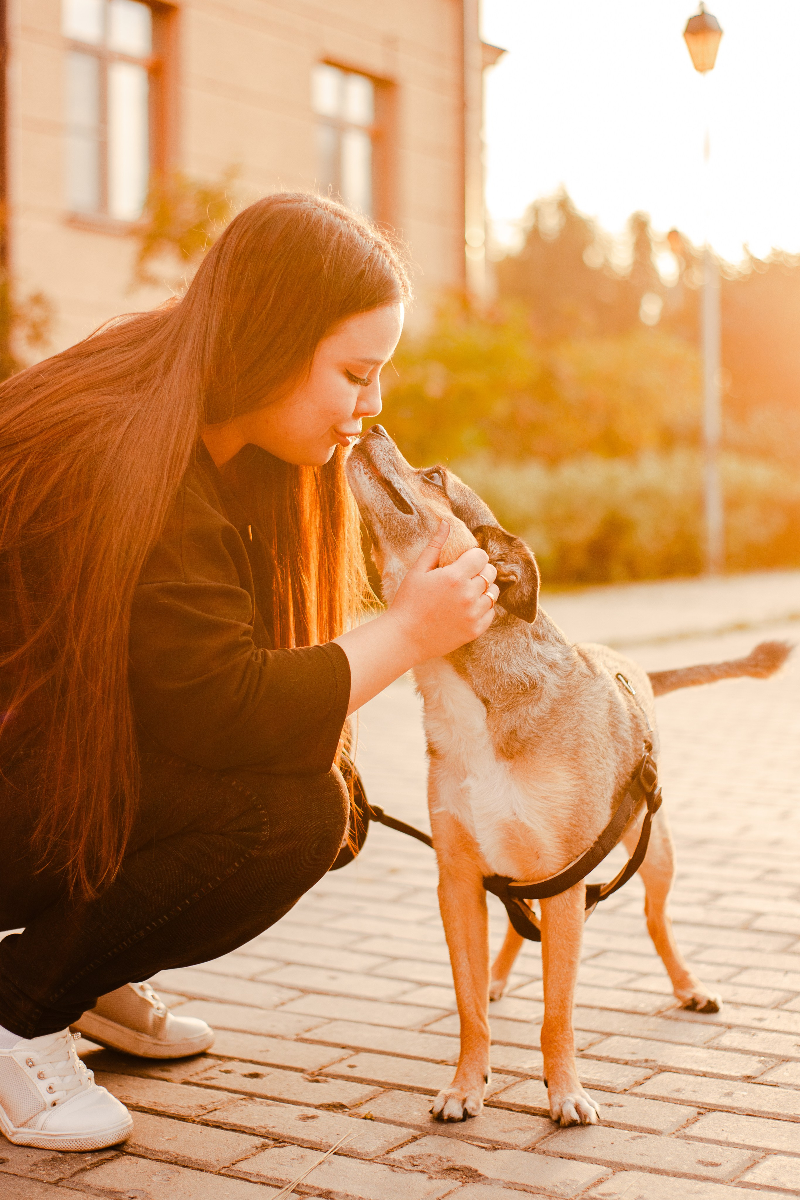 Виктория и Раф. Фотограф-анималист Мария Баркевич | Москва