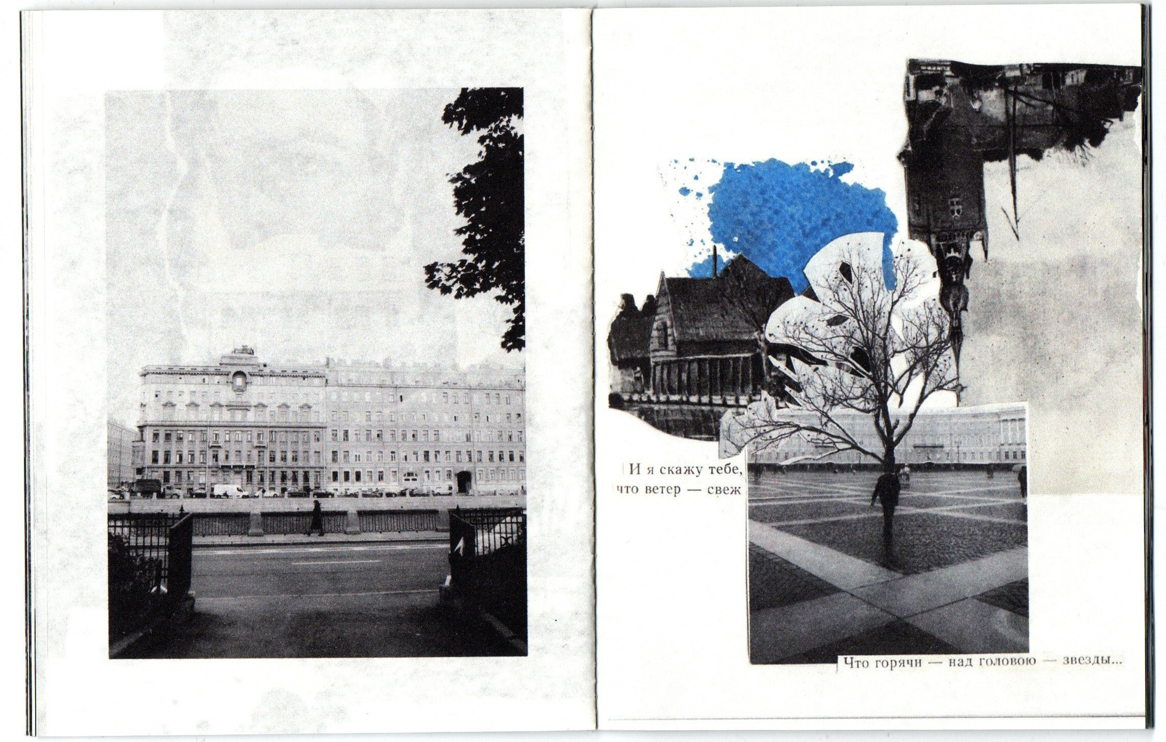 Приют несовершенных дел. Фотограф Анна Кирнос