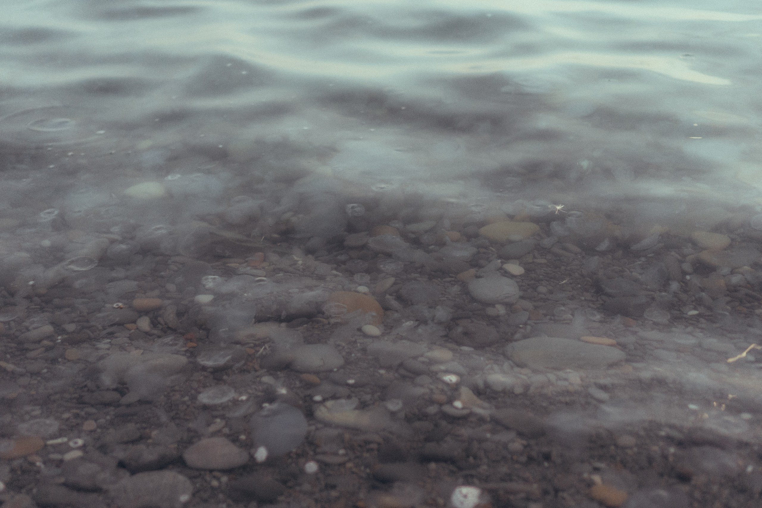 Вечерняя прогулка по Анапе. Профессиональный фотограф, Санкт-Петербург — Виктория Богомолова