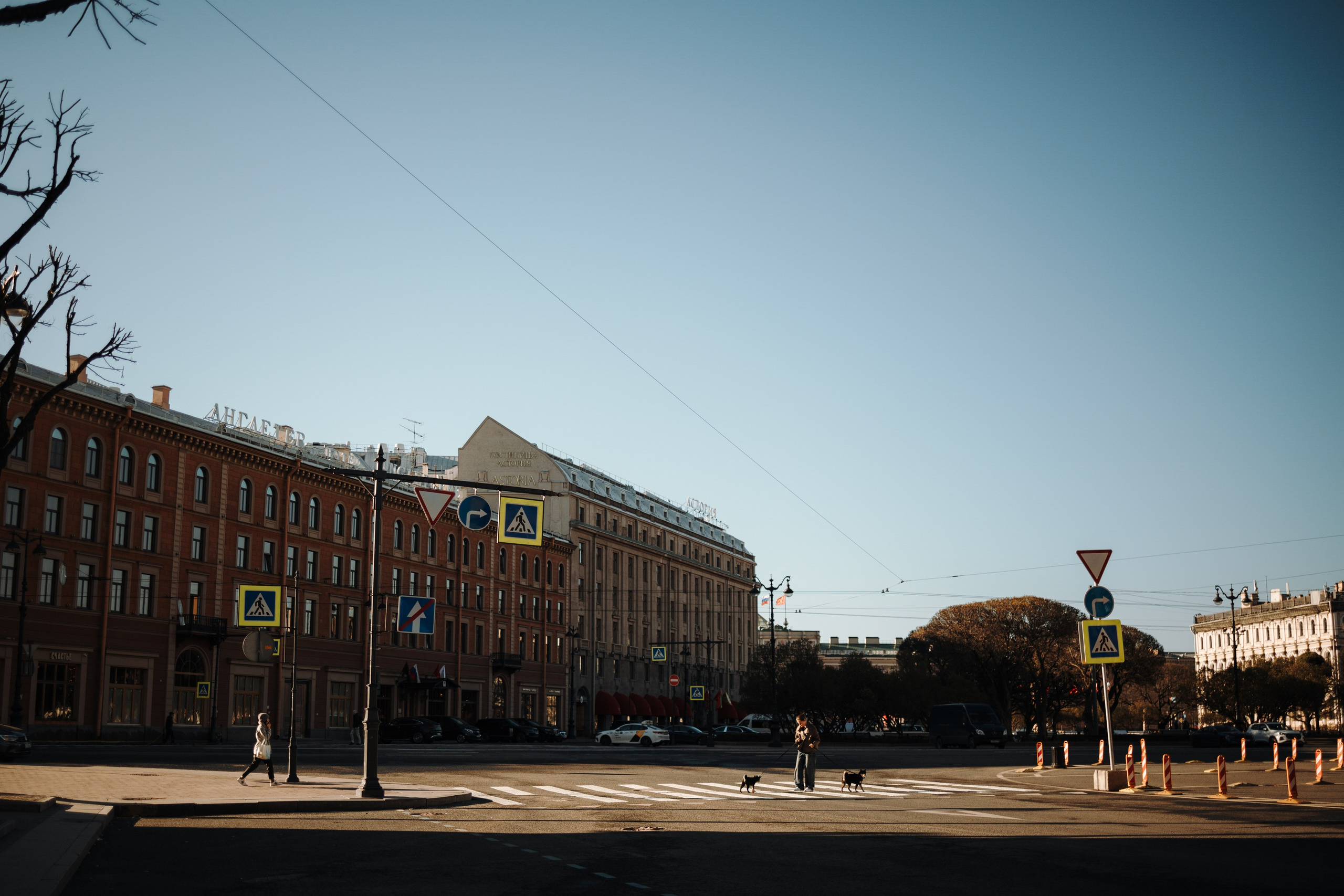 Даша и ее девочки. Фотограф — Анималист | Санкт-Петербург