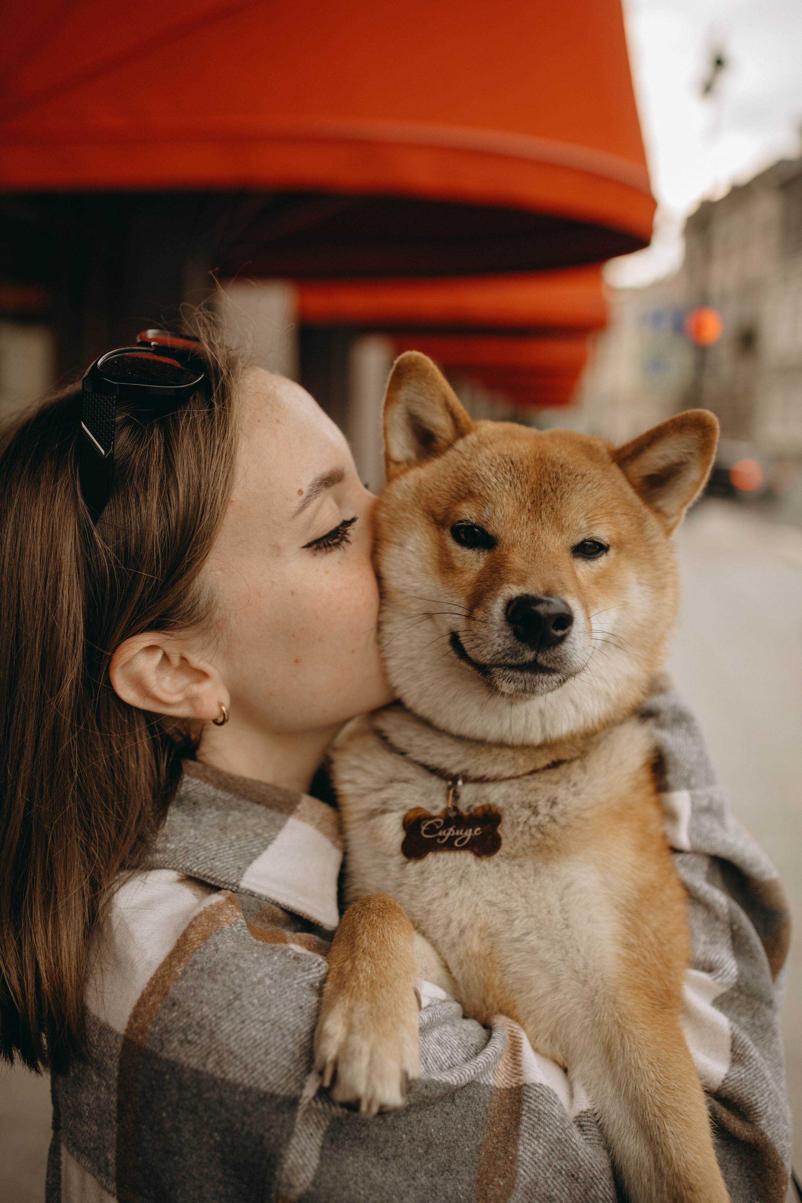 Сириус и его семья. Фотограф — Анималист | Санкт-Петербург