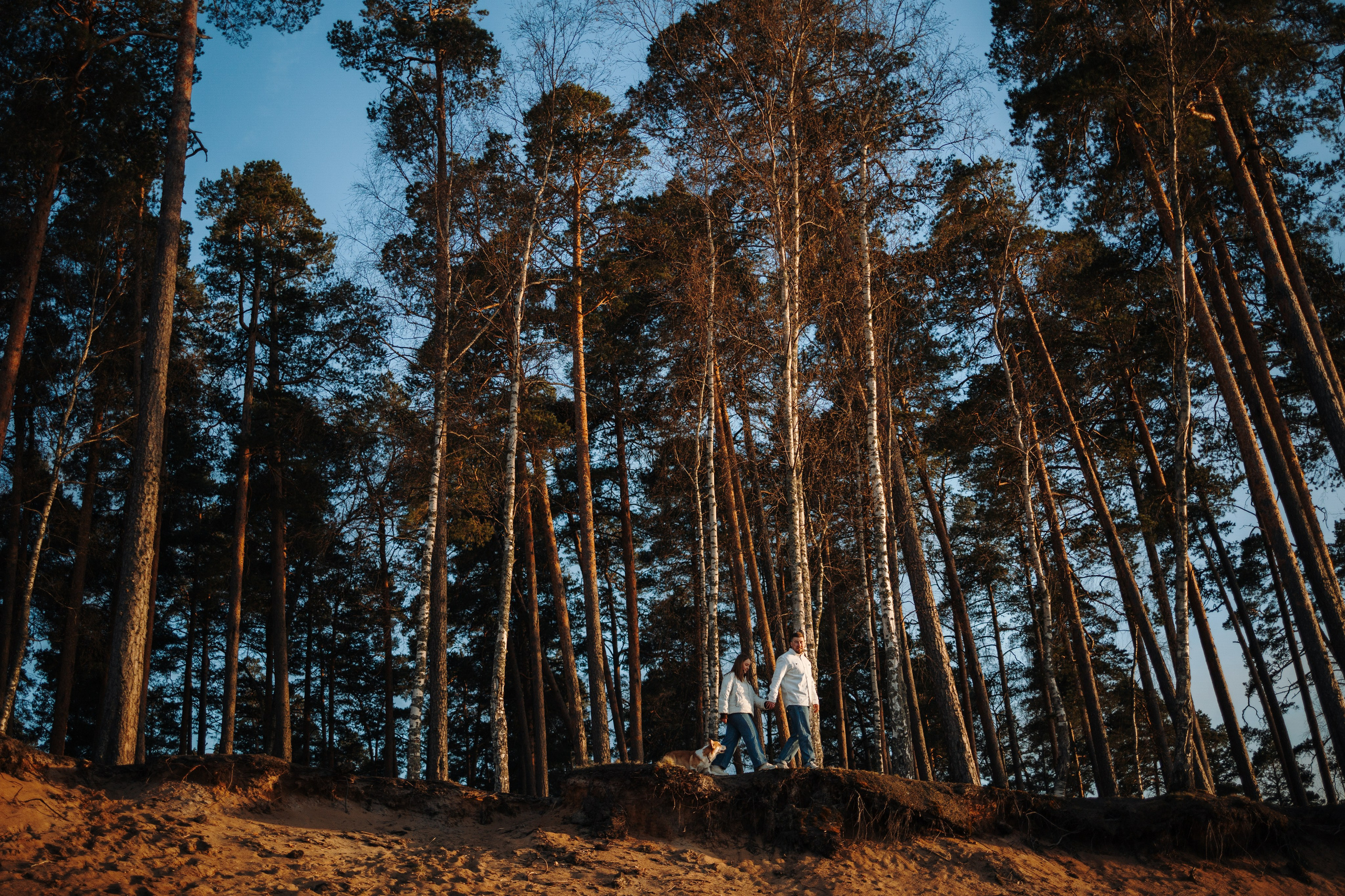 Найт и его семья. Фотограф — Анималист | Санкт-Петербург