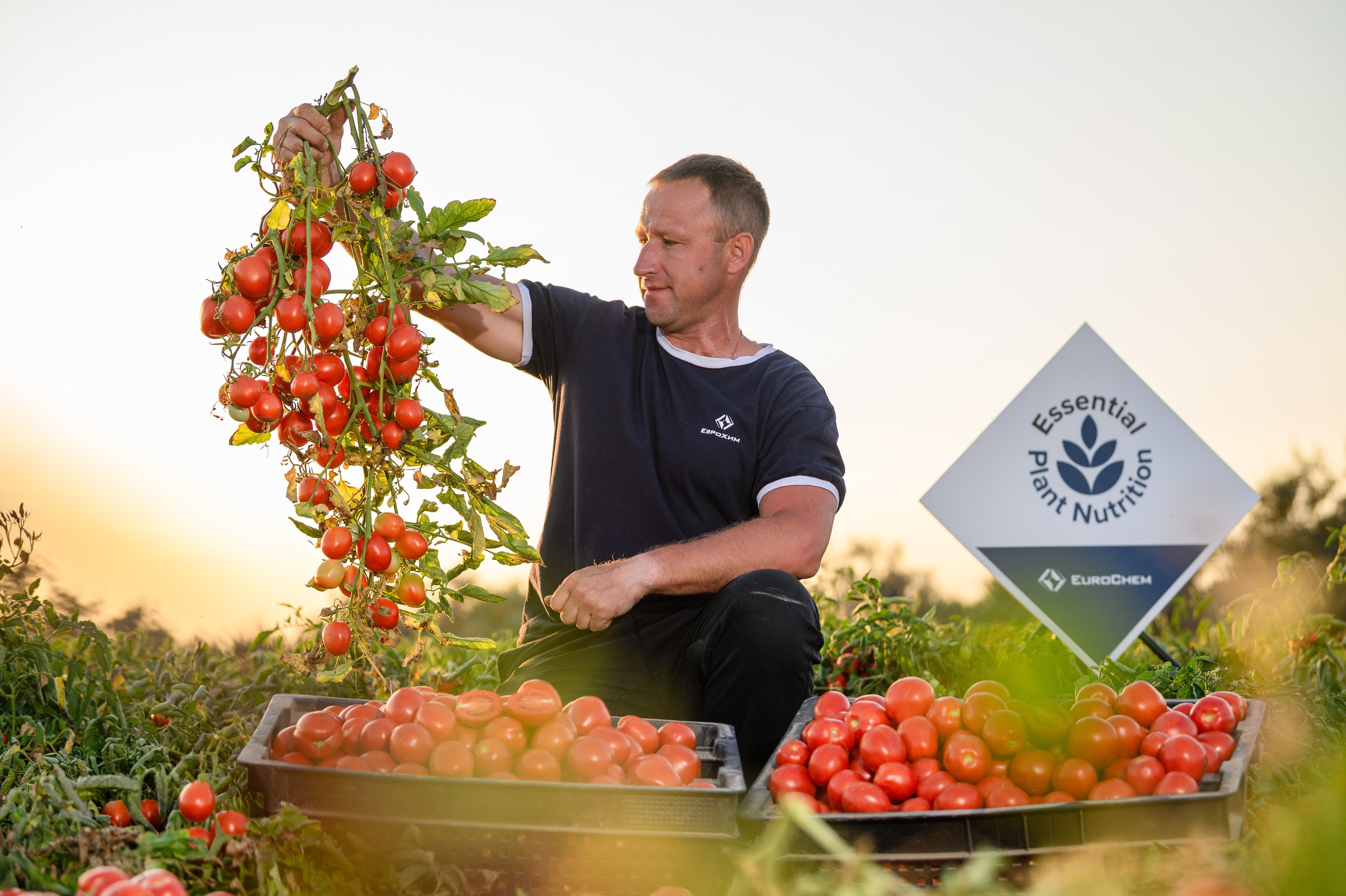 Проекты. Профессиональный фотограф Вячеслав Плацында | Липецк |
