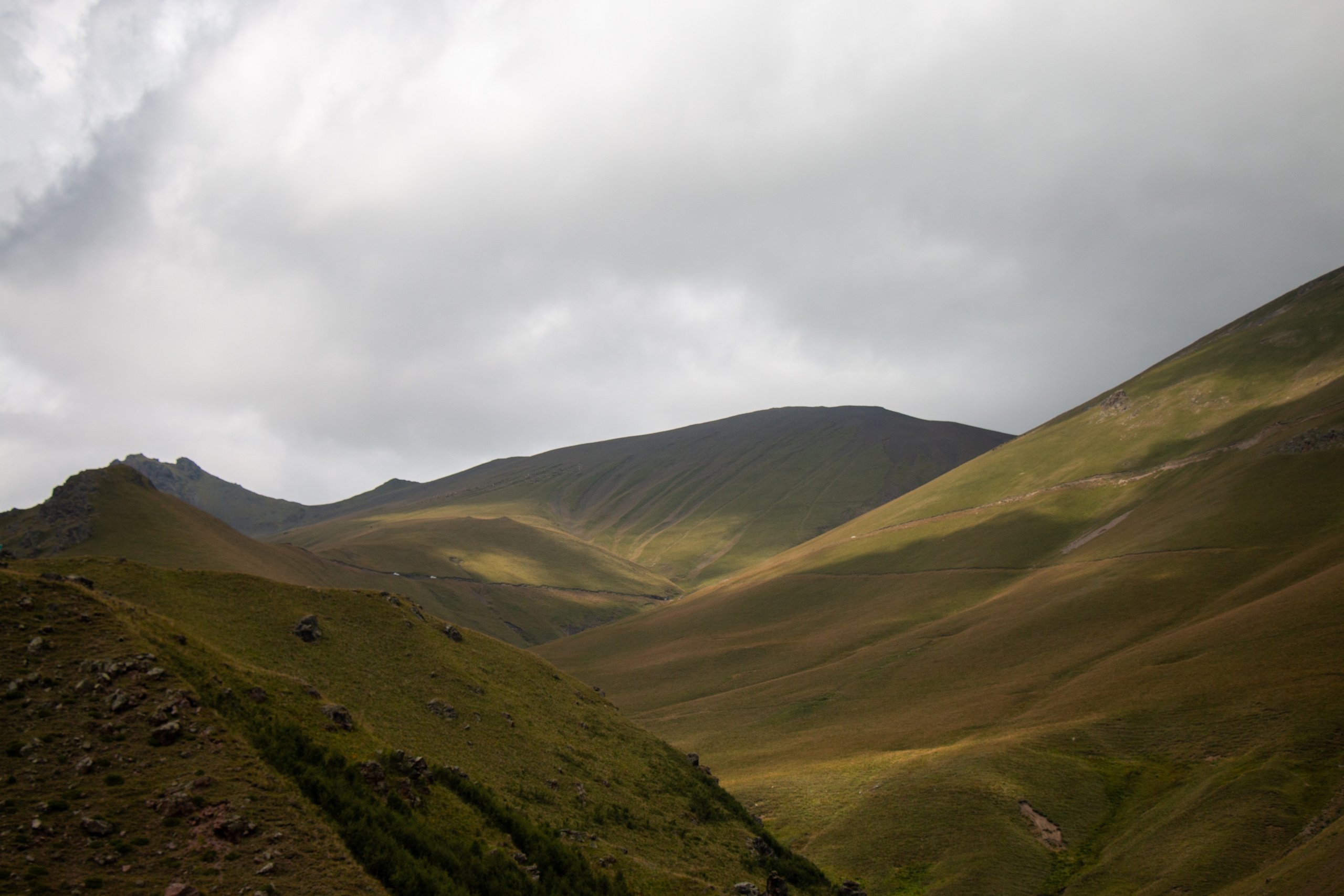 Репортаж. Главная