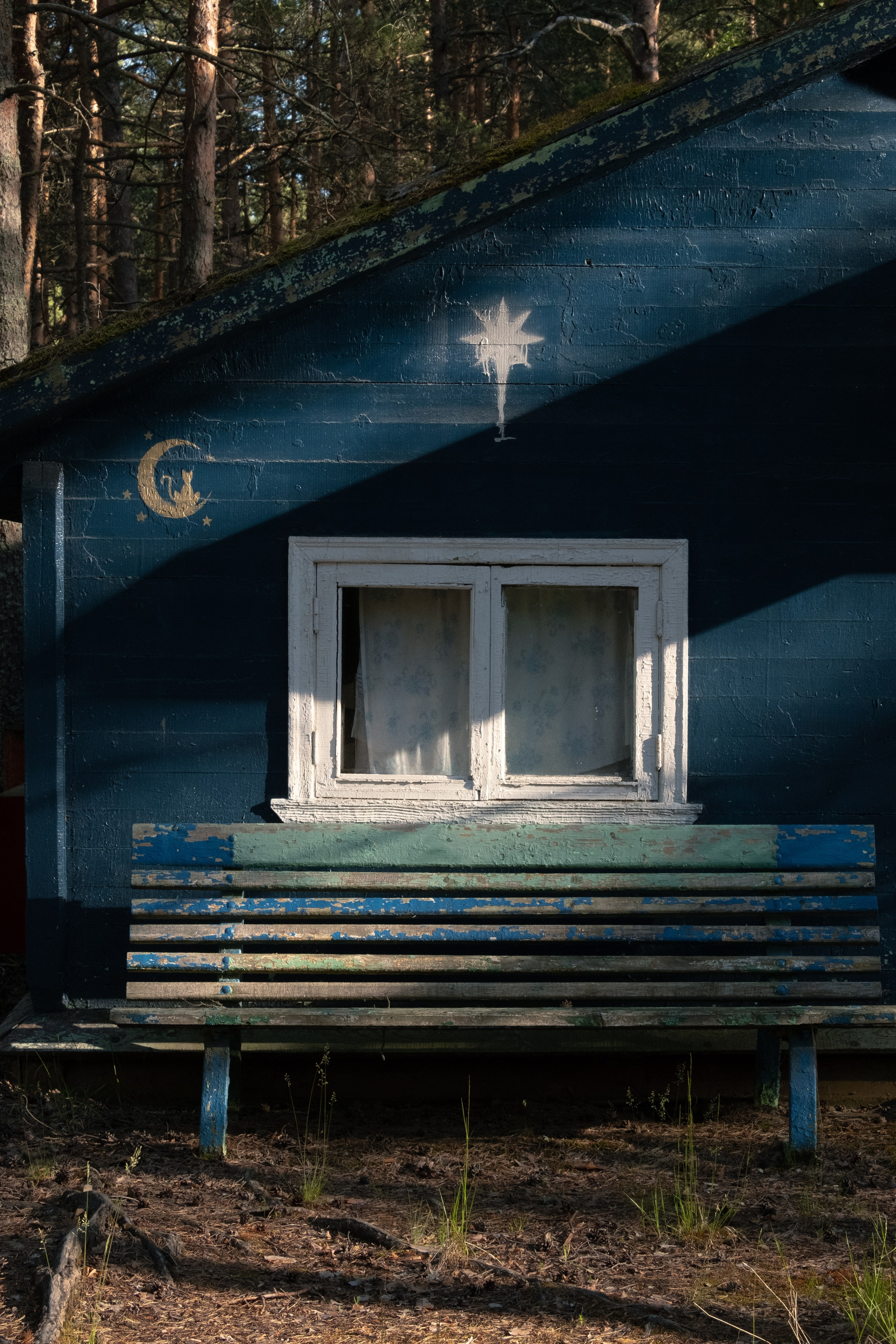 Пионерлагеря. Курочкина Софья