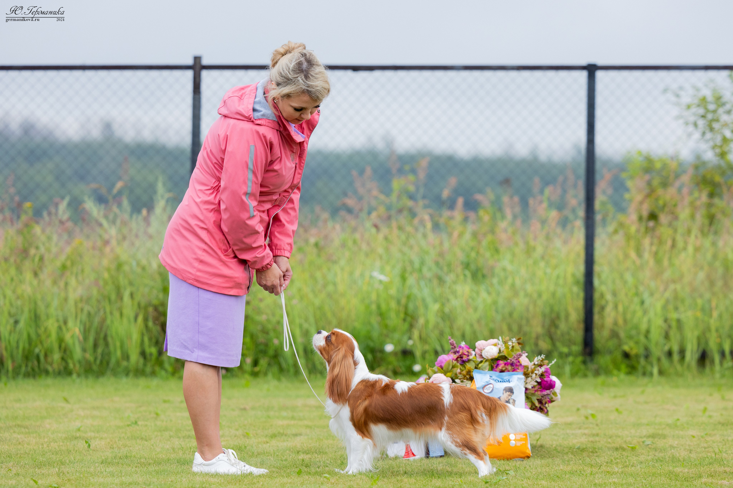 Ярославль 21.07.24 и Балашиха 13.07.24. Фотограф-анималист Юлия Германика