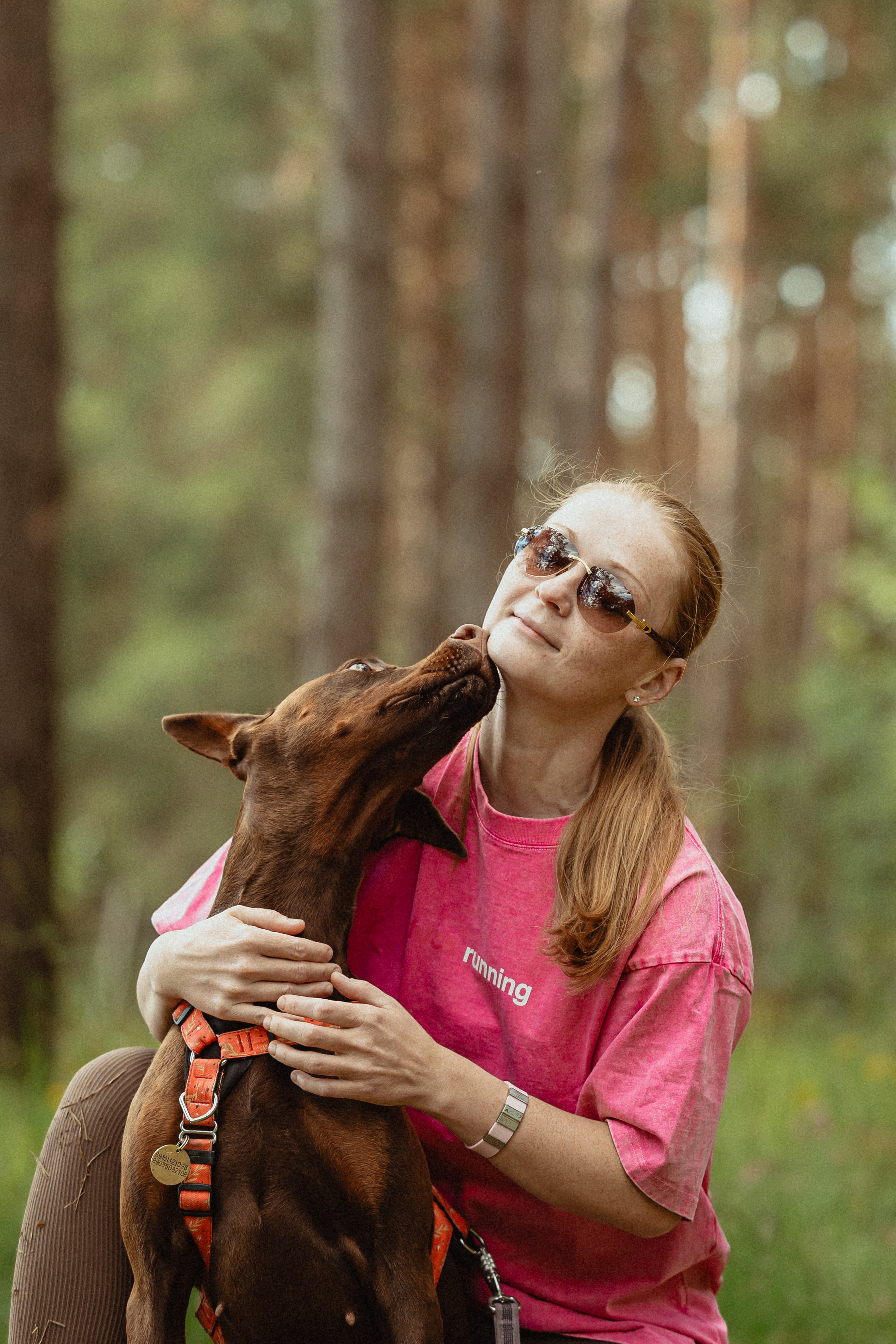 Выездной дог-тренинг от школы «Шерсть имею»