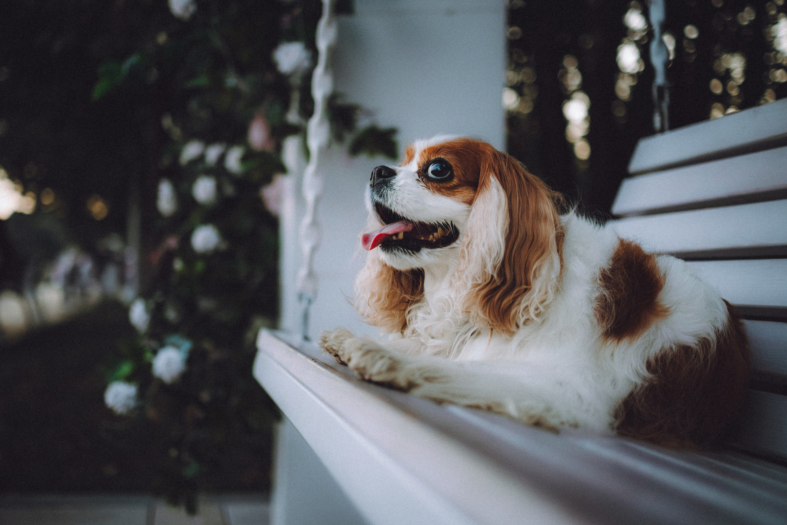 Наташа и Вики