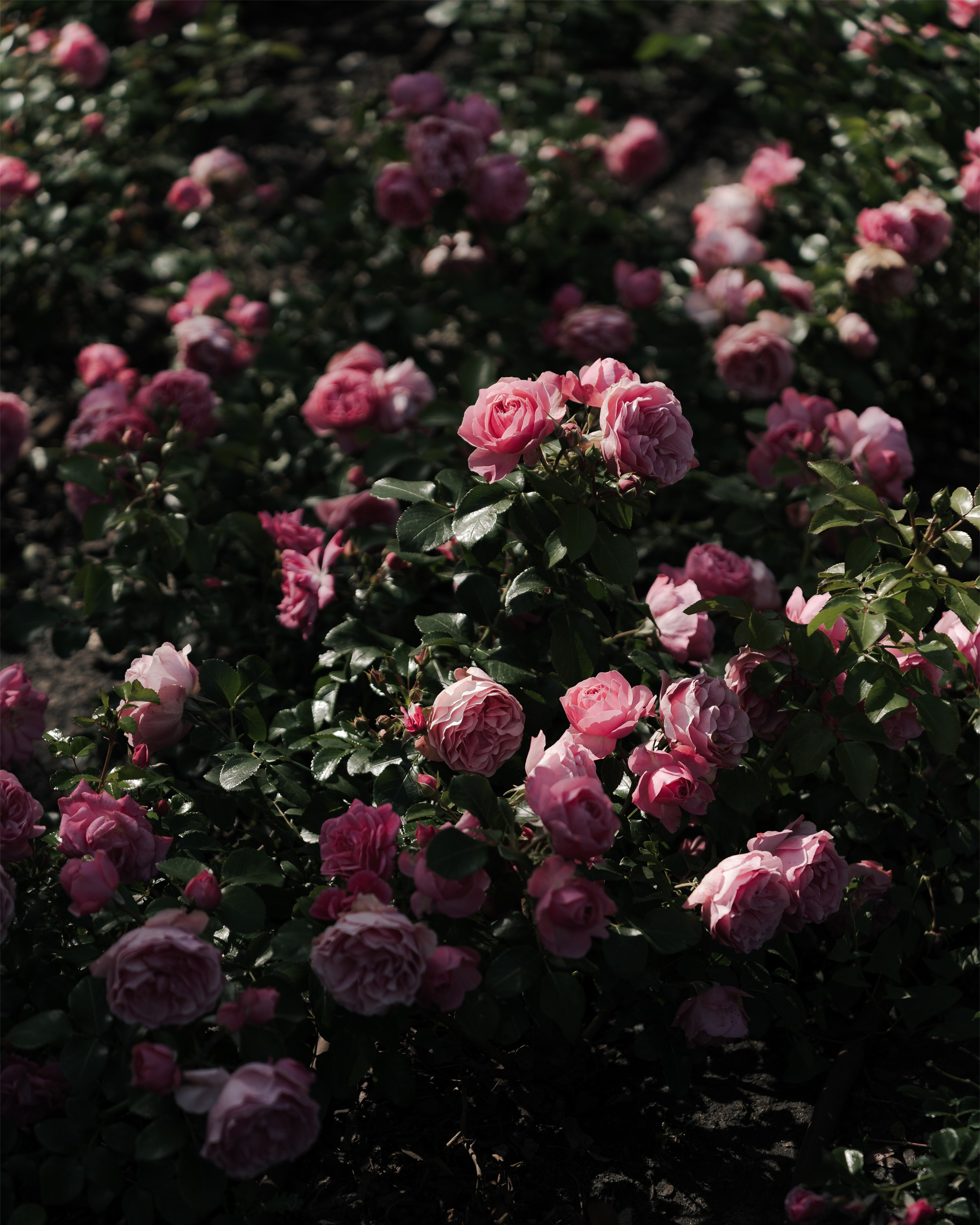 //GROUNDEDULTRA2024. Автомобильный фотограф