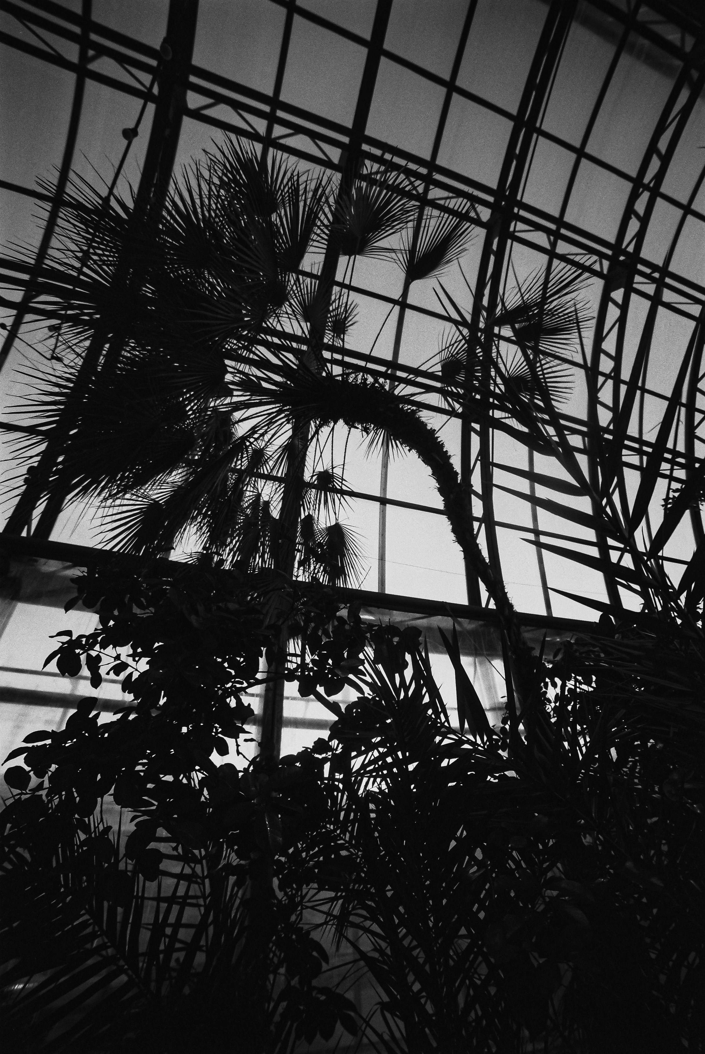 Свадьба Яны и Бориса. Polinanazar//Полина Назарова, фотохудожник