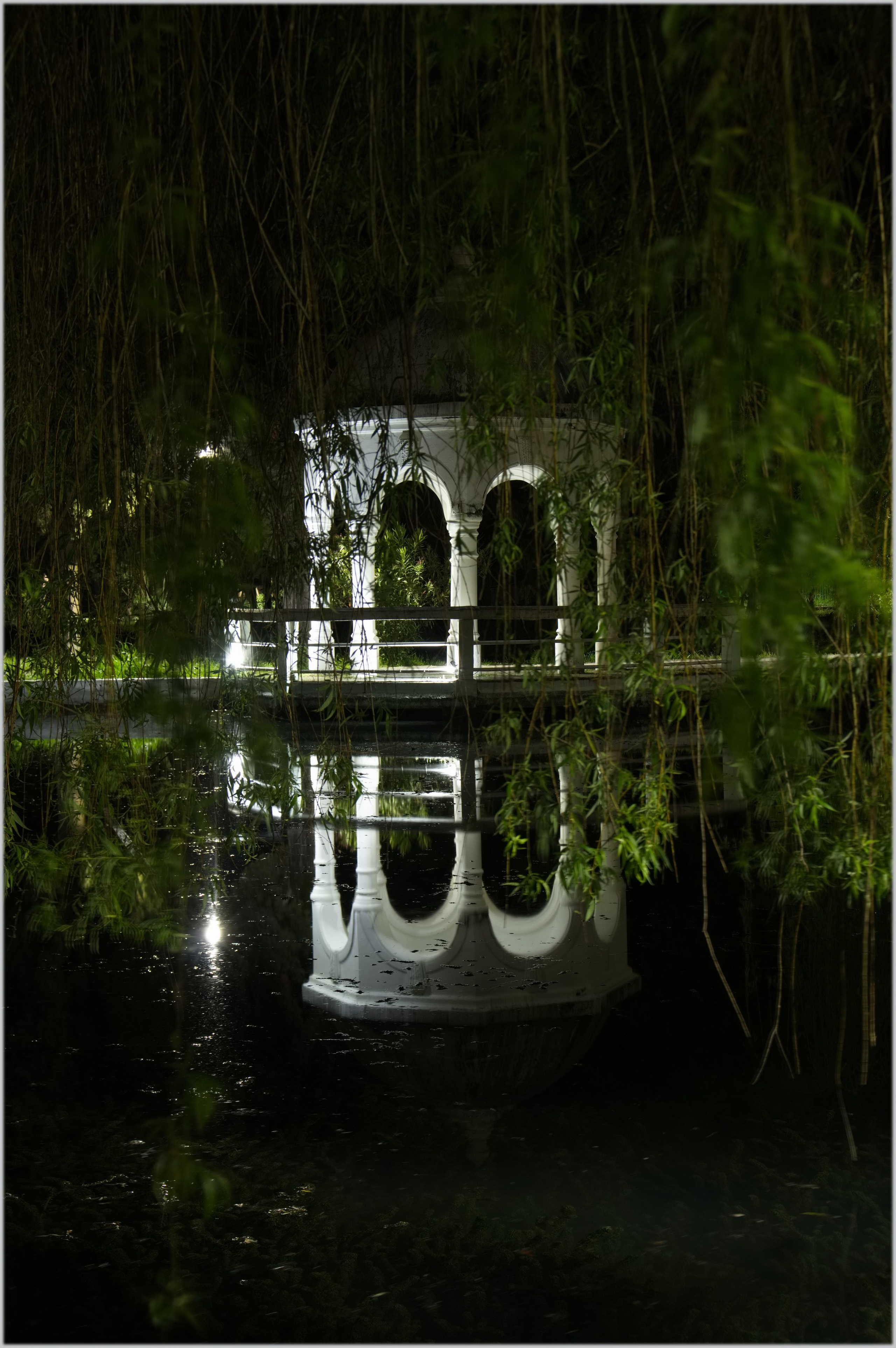 новый афон.парк.ночь.