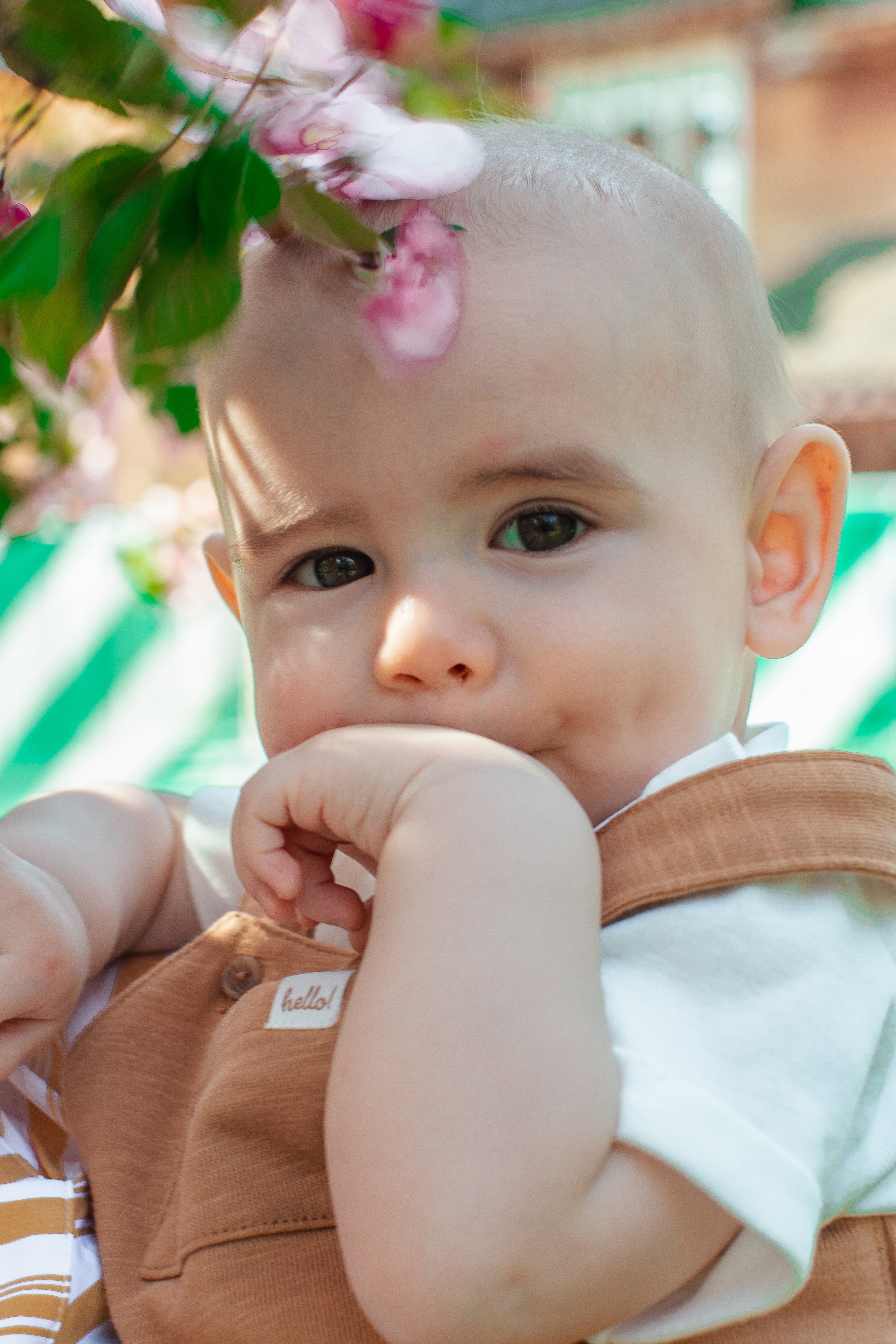 Матвей, Маша, Миша. Фотосессии в Москве - фотограф Неонилла Ленко