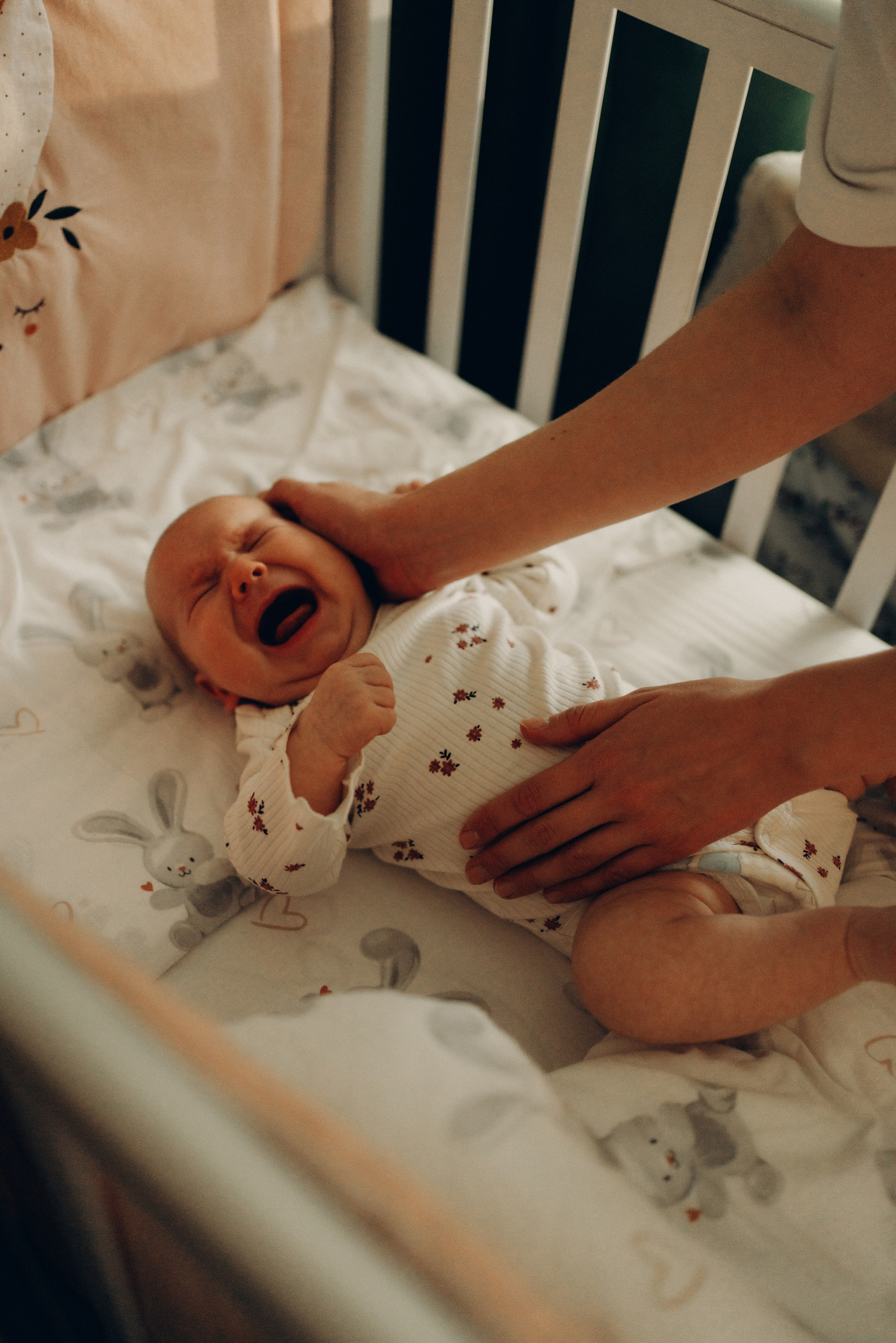 Настя, Антон, Яроша, Агата и Цезарь. Фотограф в Минске — Мария Миллс