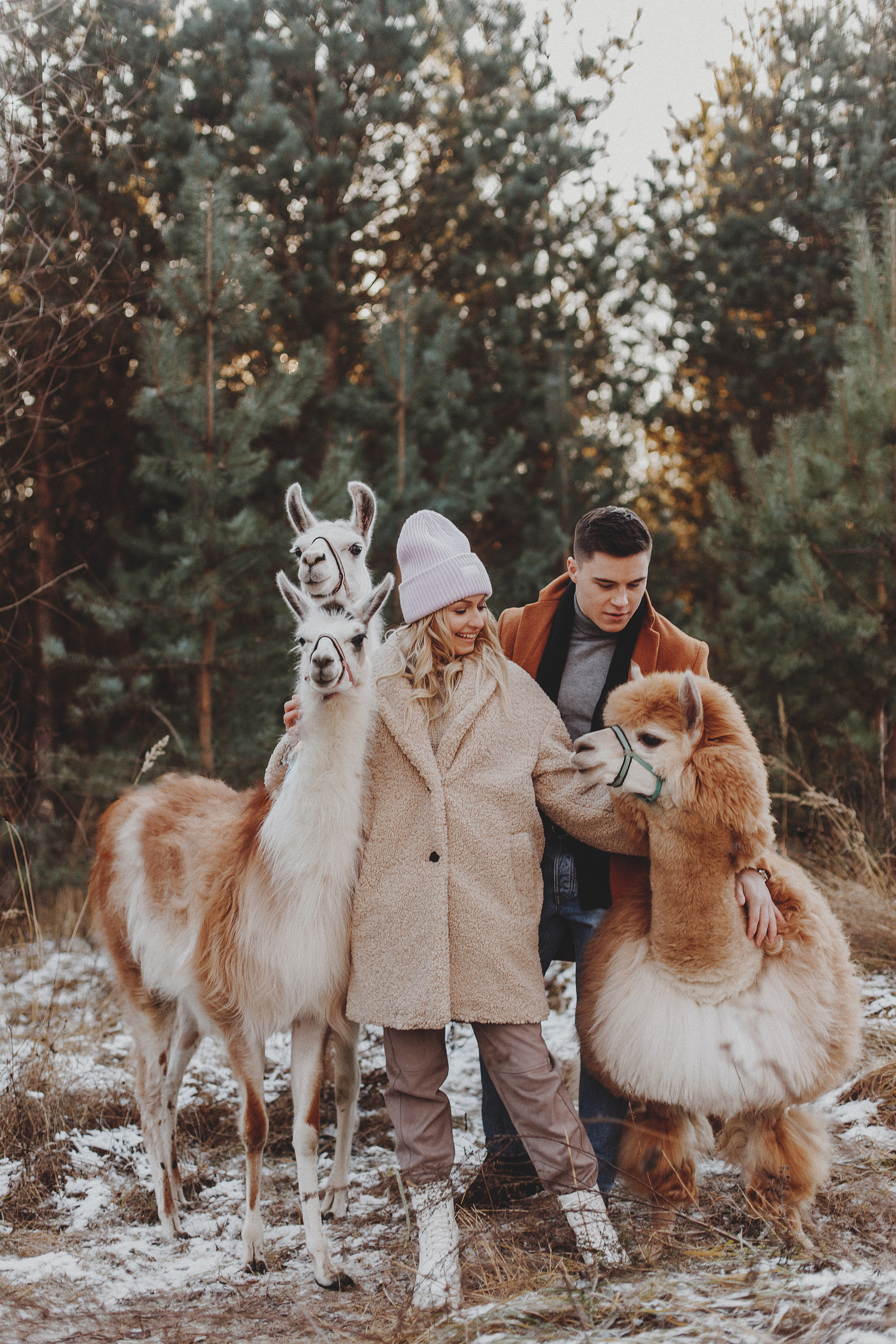Никита и Даша. Семейный Фотограф в Москве Антонина Касапова