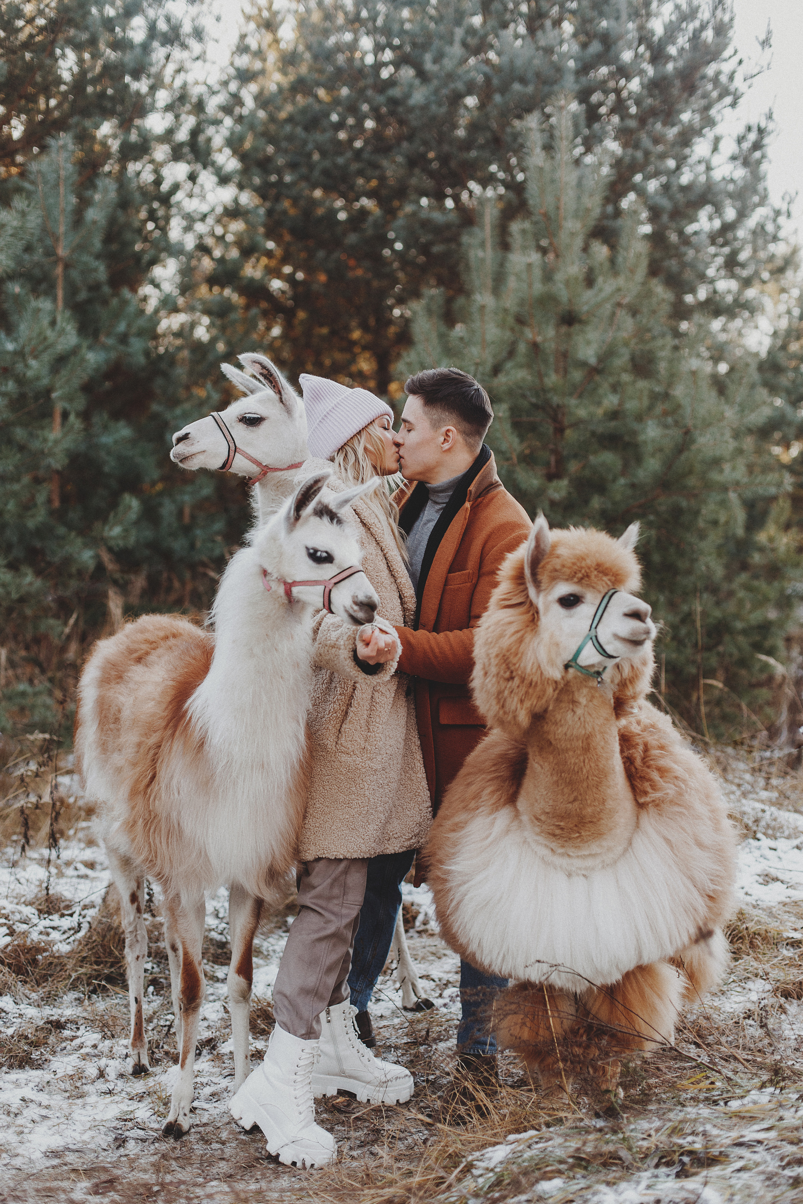 Никита и Даша. Семейный Фотограф в Москве Антонина Касапова