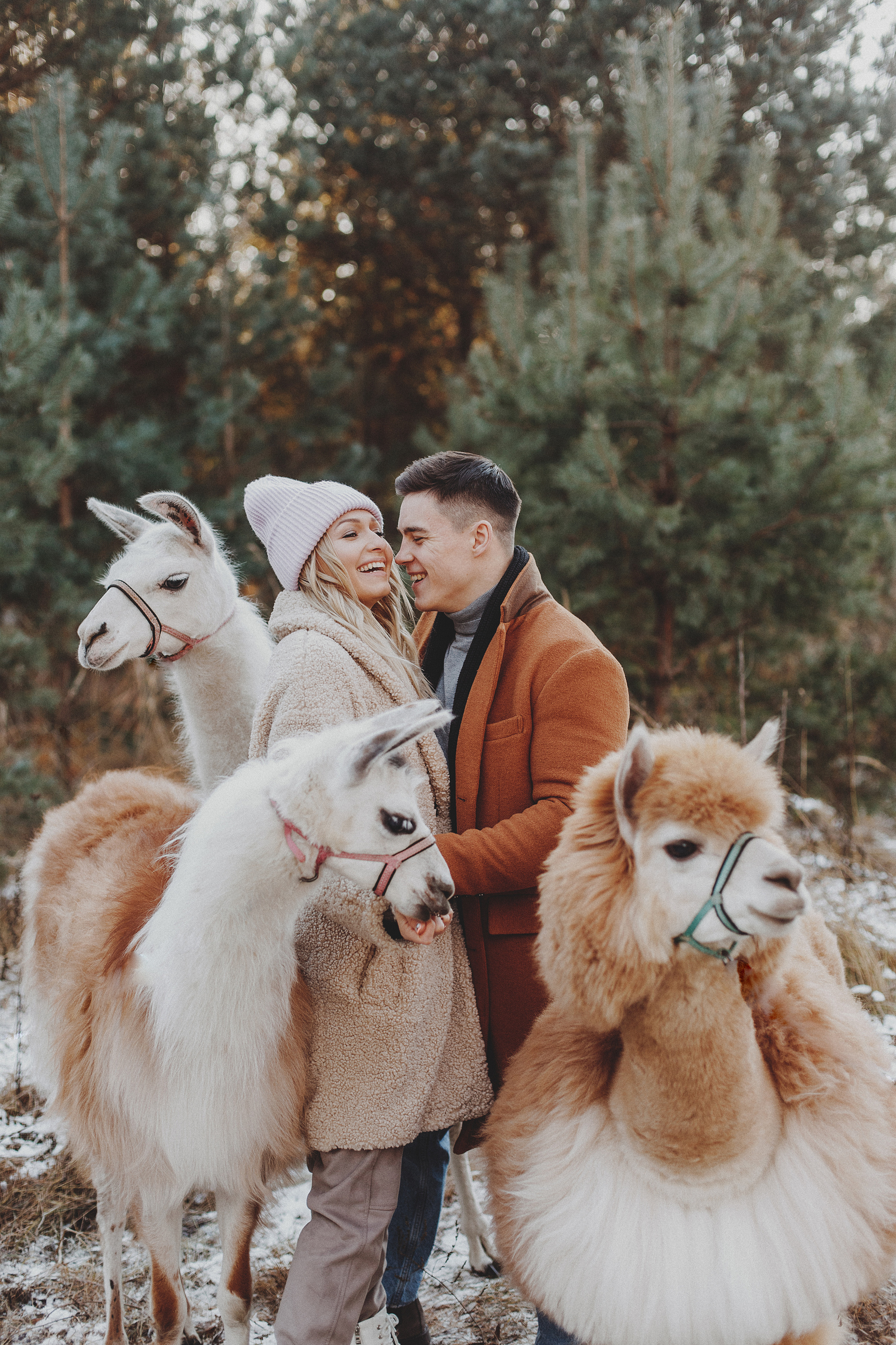 Никита и Даша. Семейный Фотограф в Москве Антонина Касапова