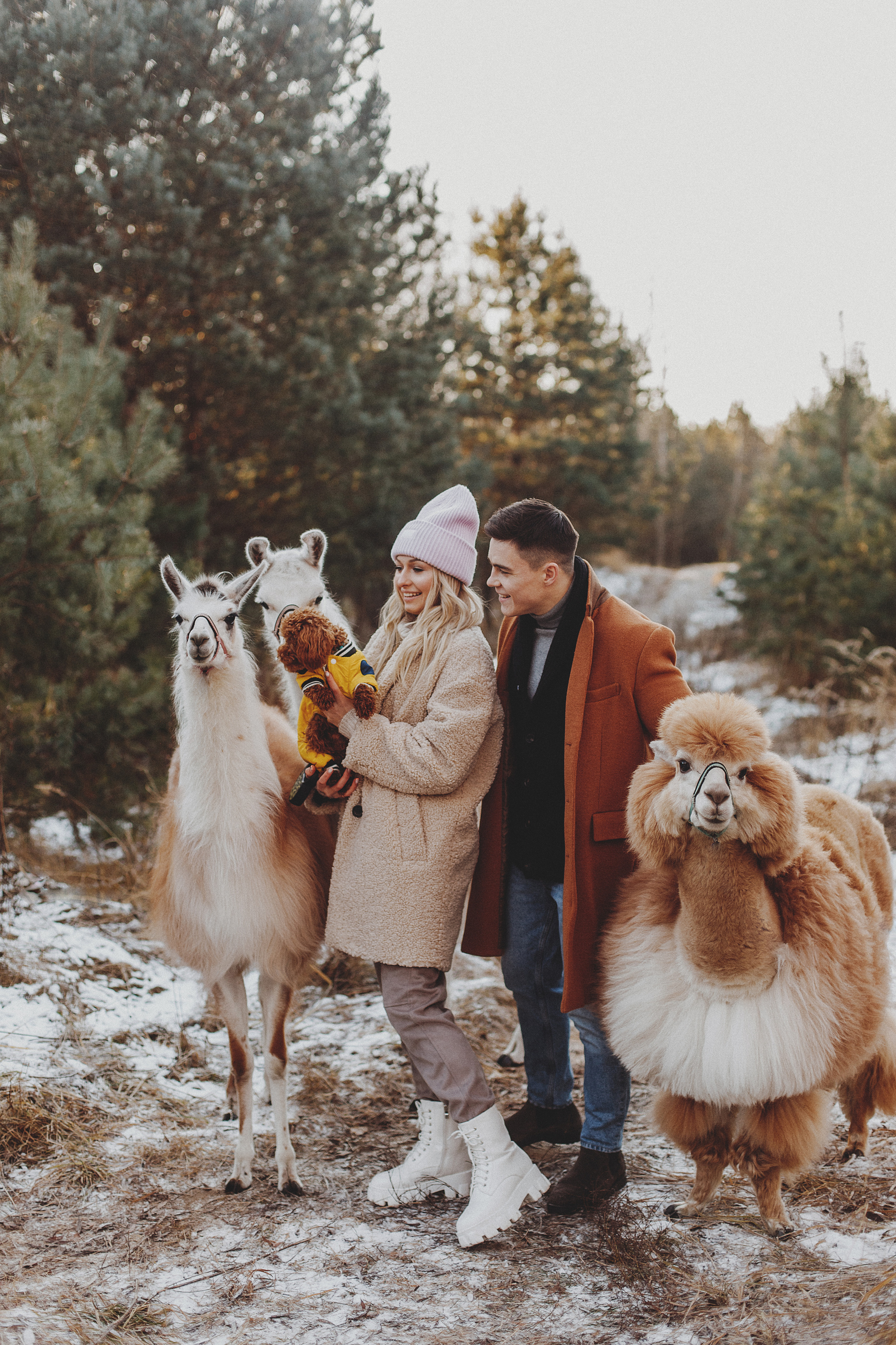 Никита и Даша. Семейный Фотограф в Москве Антонина Касапова