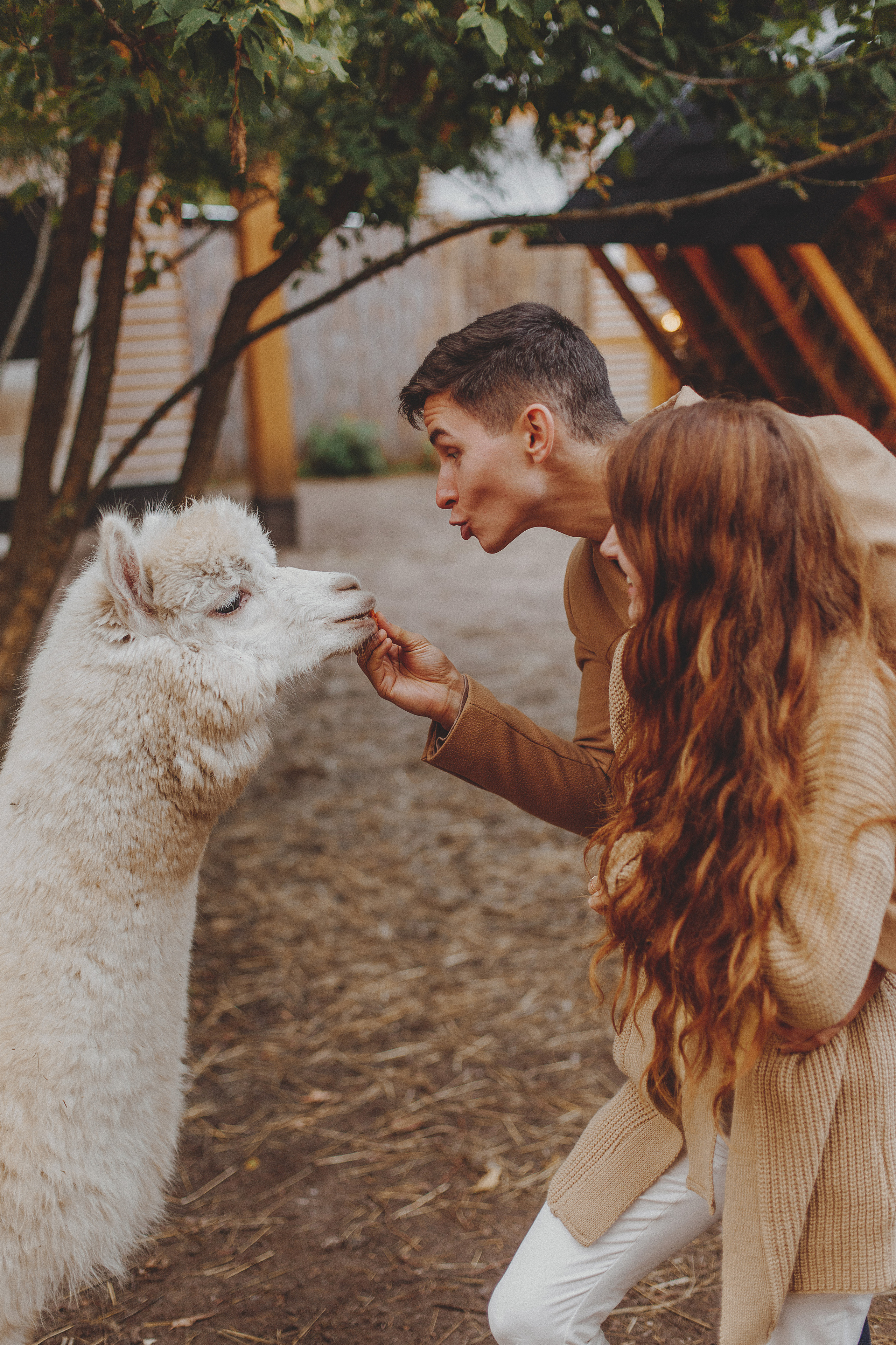 Андрей и Аня. Семейный Фотограф в Москве Антонина Касапова