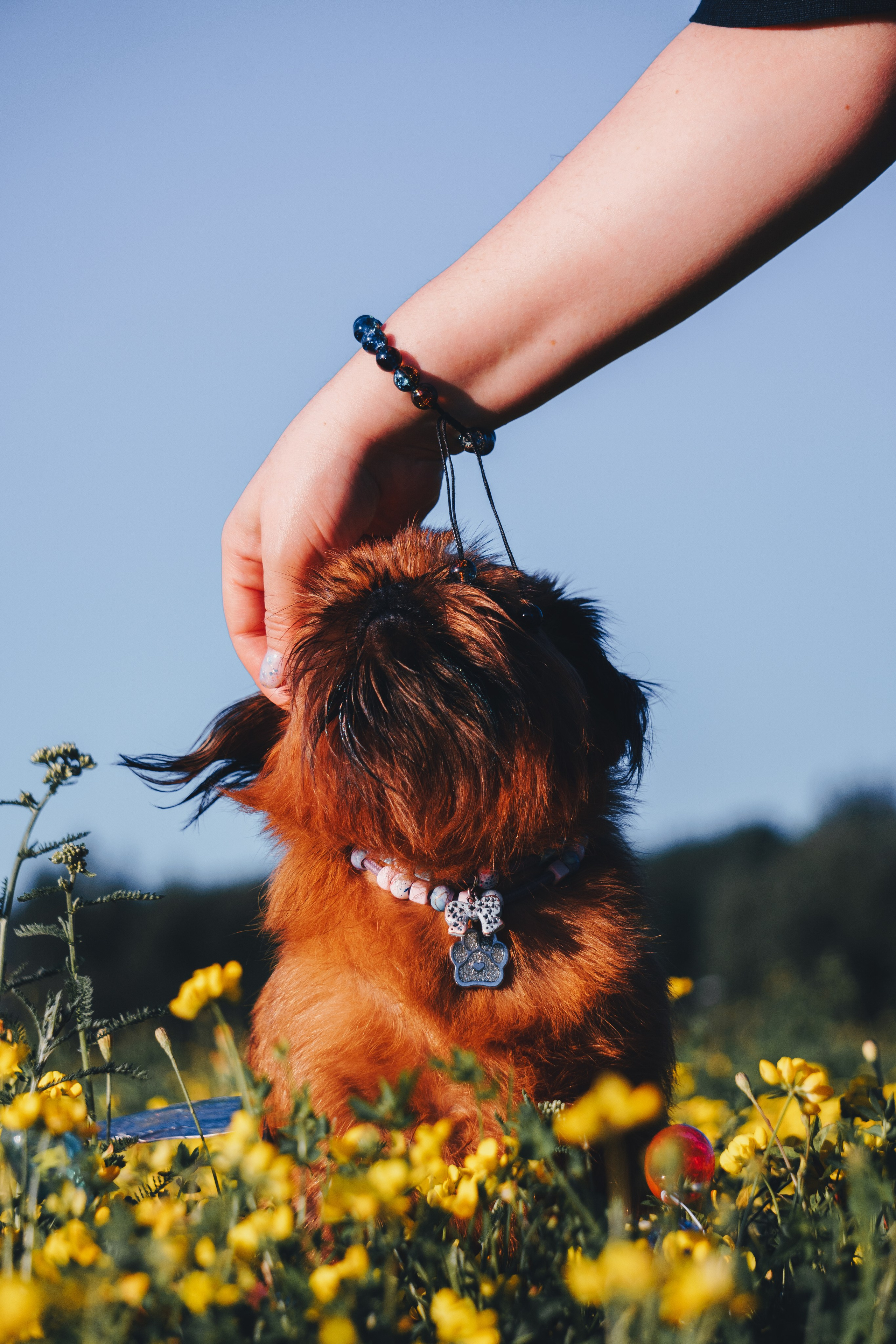 Катя и Яшма. Фотограф-анималист Ксения Воробьева, Москва