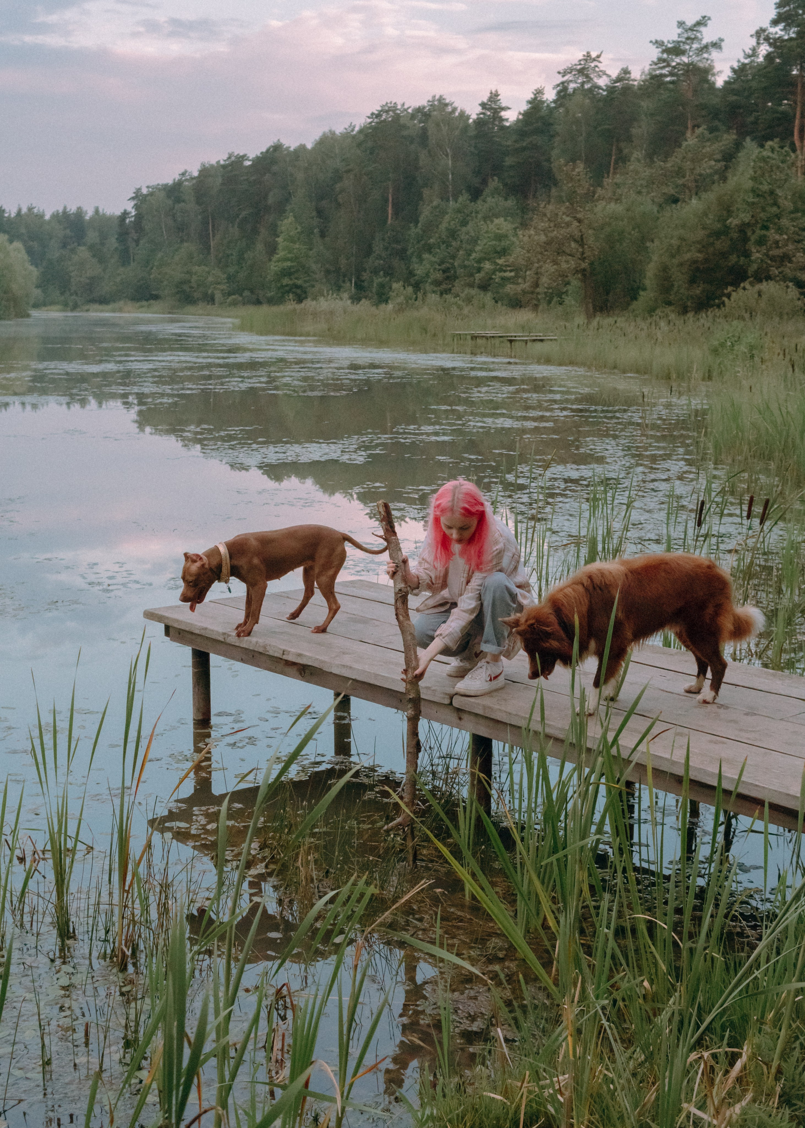 Виолетта, Лила и Питер. Фотограф-анималист Ксения Воробьева, Москва