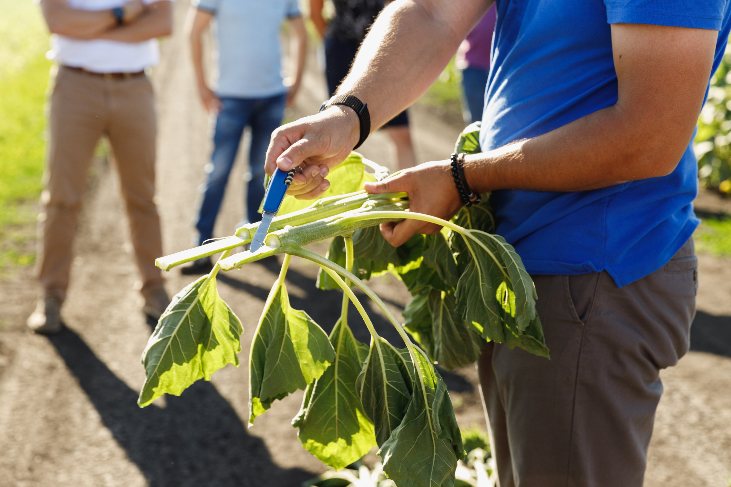 BASF. Конференция 2024. Фотограф Липецк. Фотограф в Липецке Татьяна Минаева. Портретный фотограф Липецк. Свадебный фотограф Липецк. Бизнес фотограф Липецк