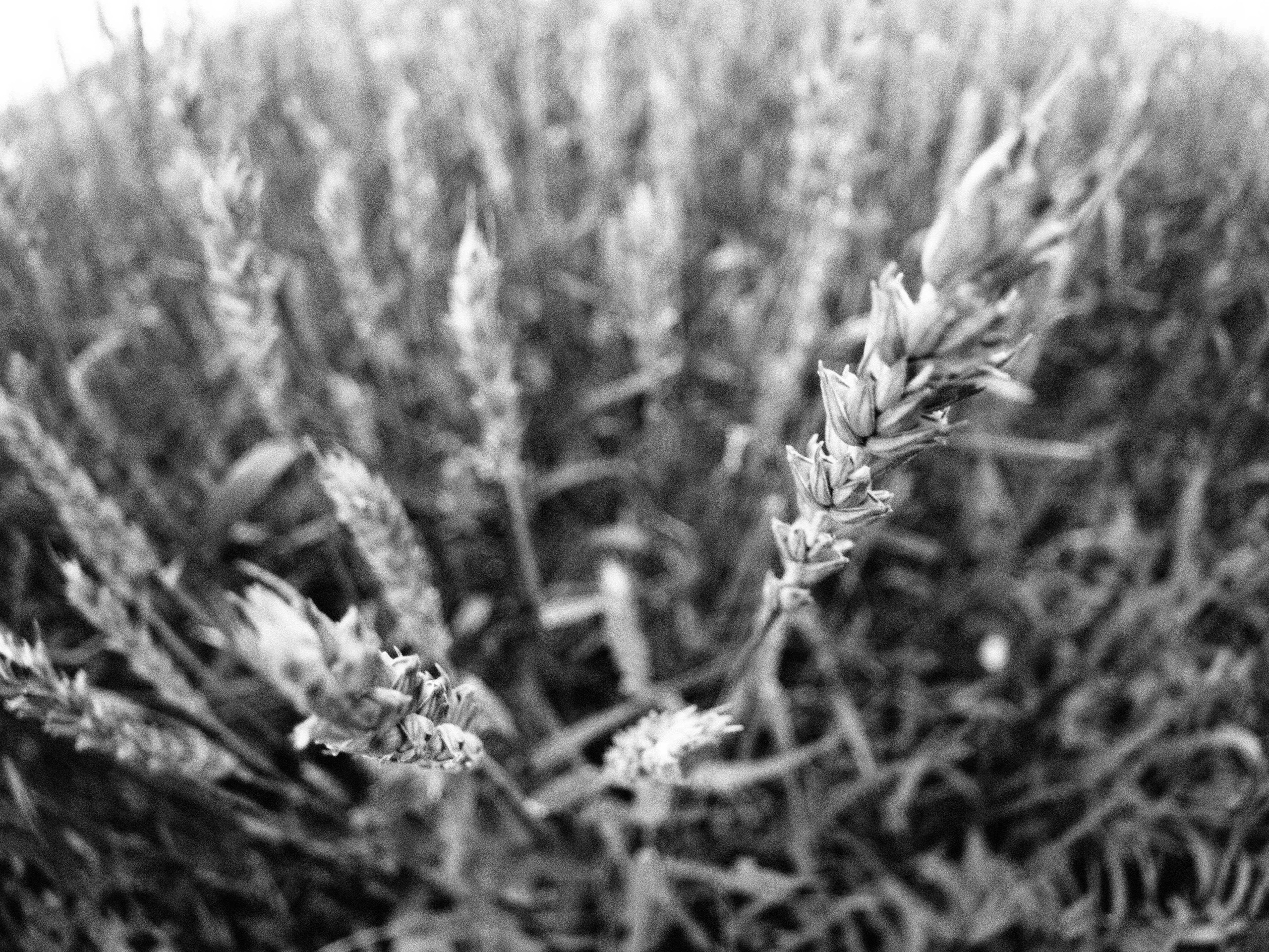 Промежуточные моменты (2023)