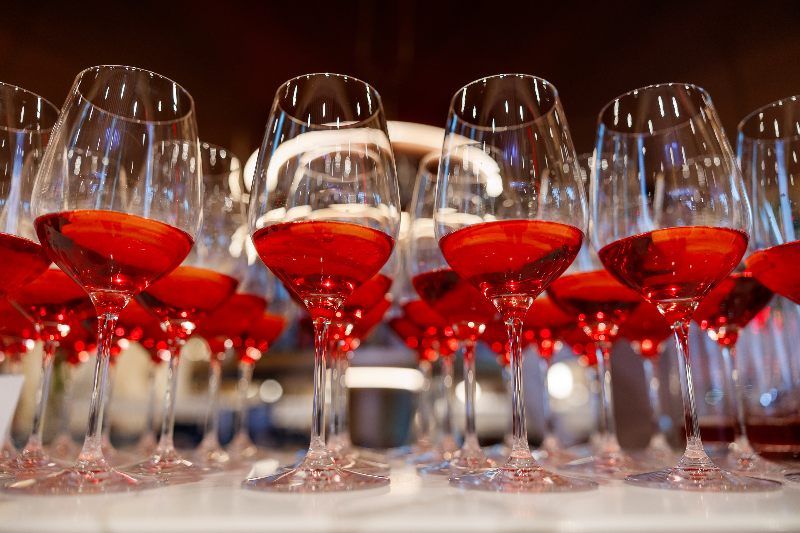 Royal Canin. Репортажный Фотограф в Сочи и Москве Алексей Орлов