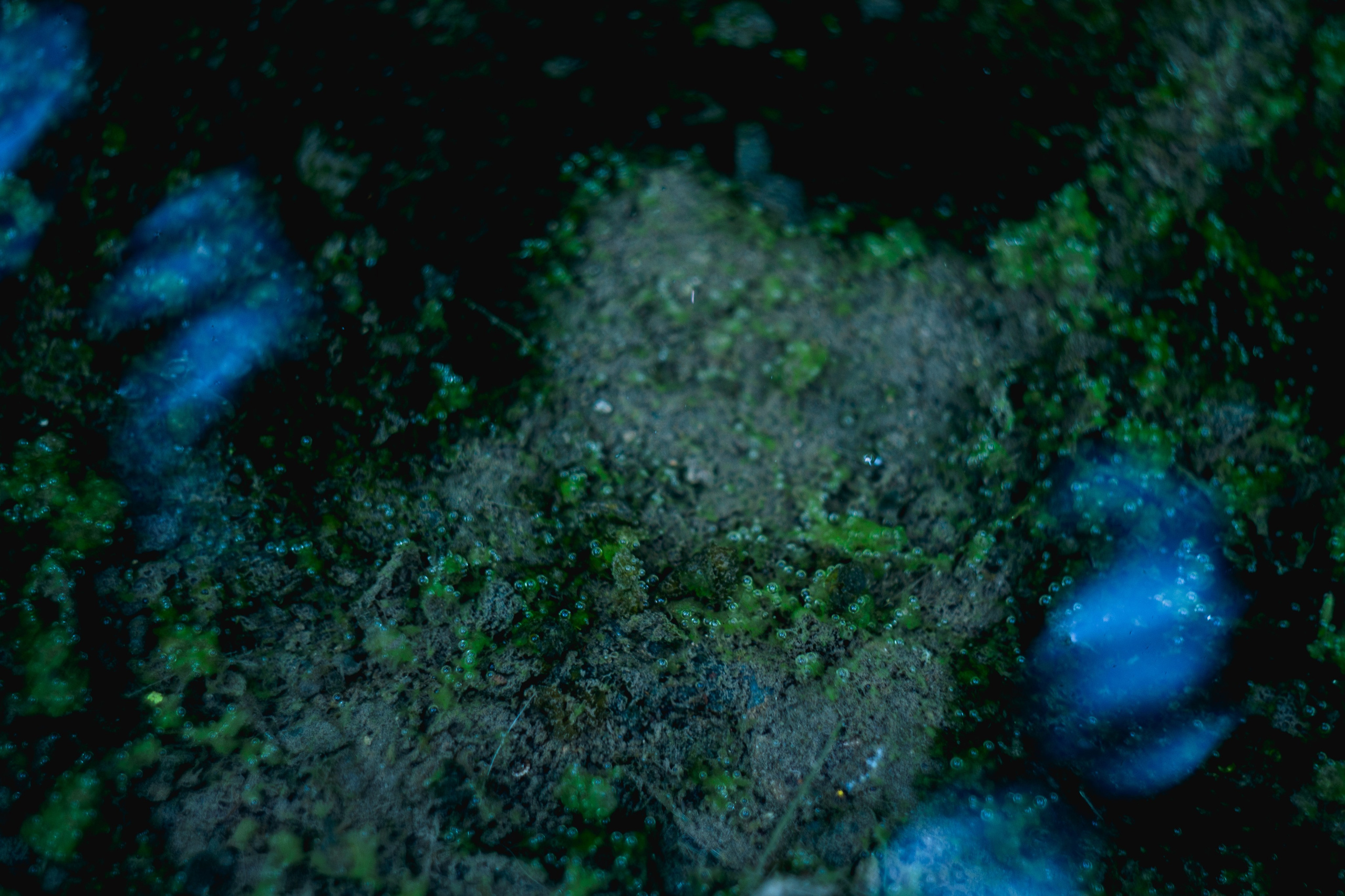 Photographer Zoya Smirnova