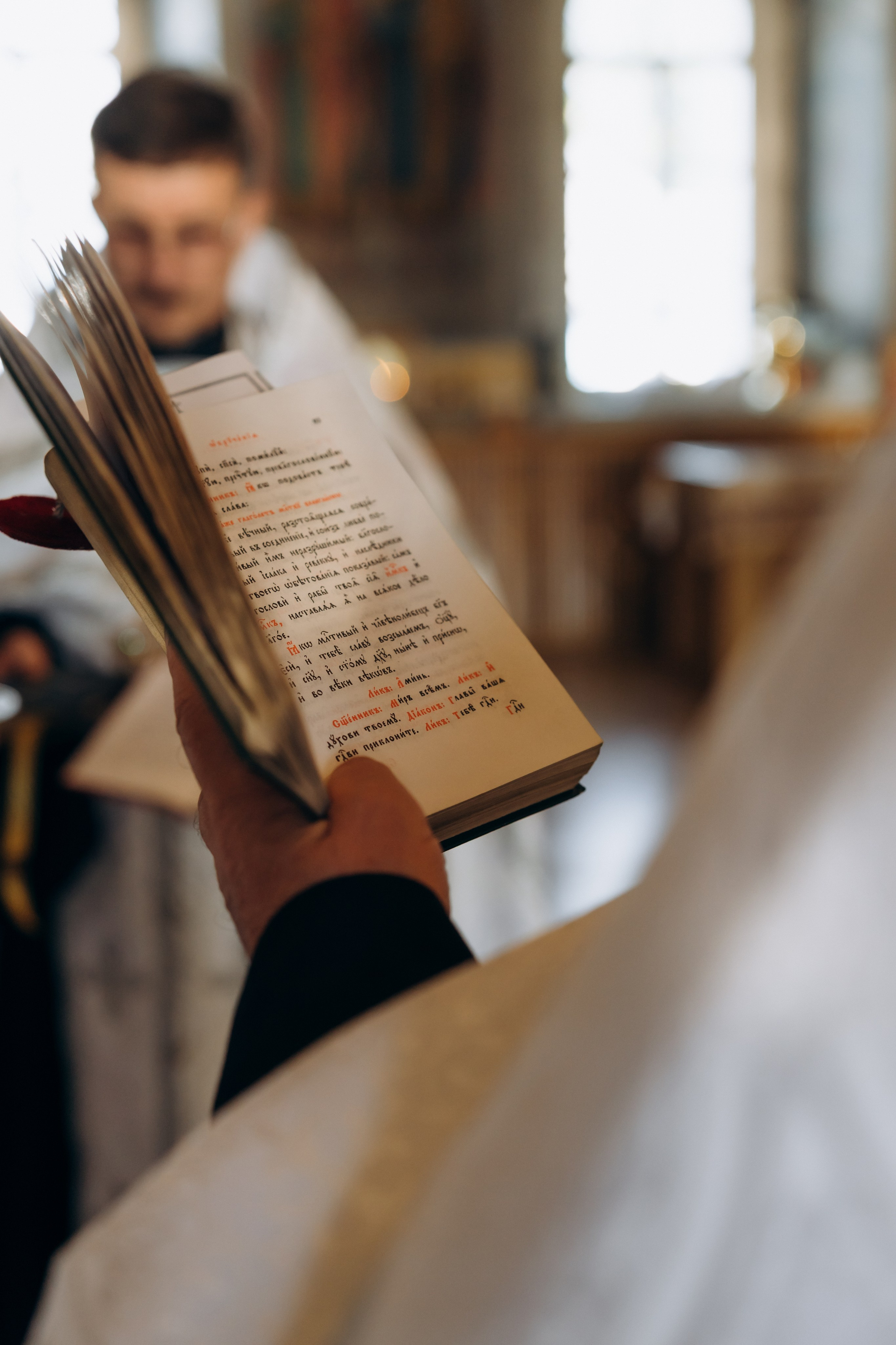 Владимир и Елисавета. Ирина Гонтарева|Фотограф|Белгород