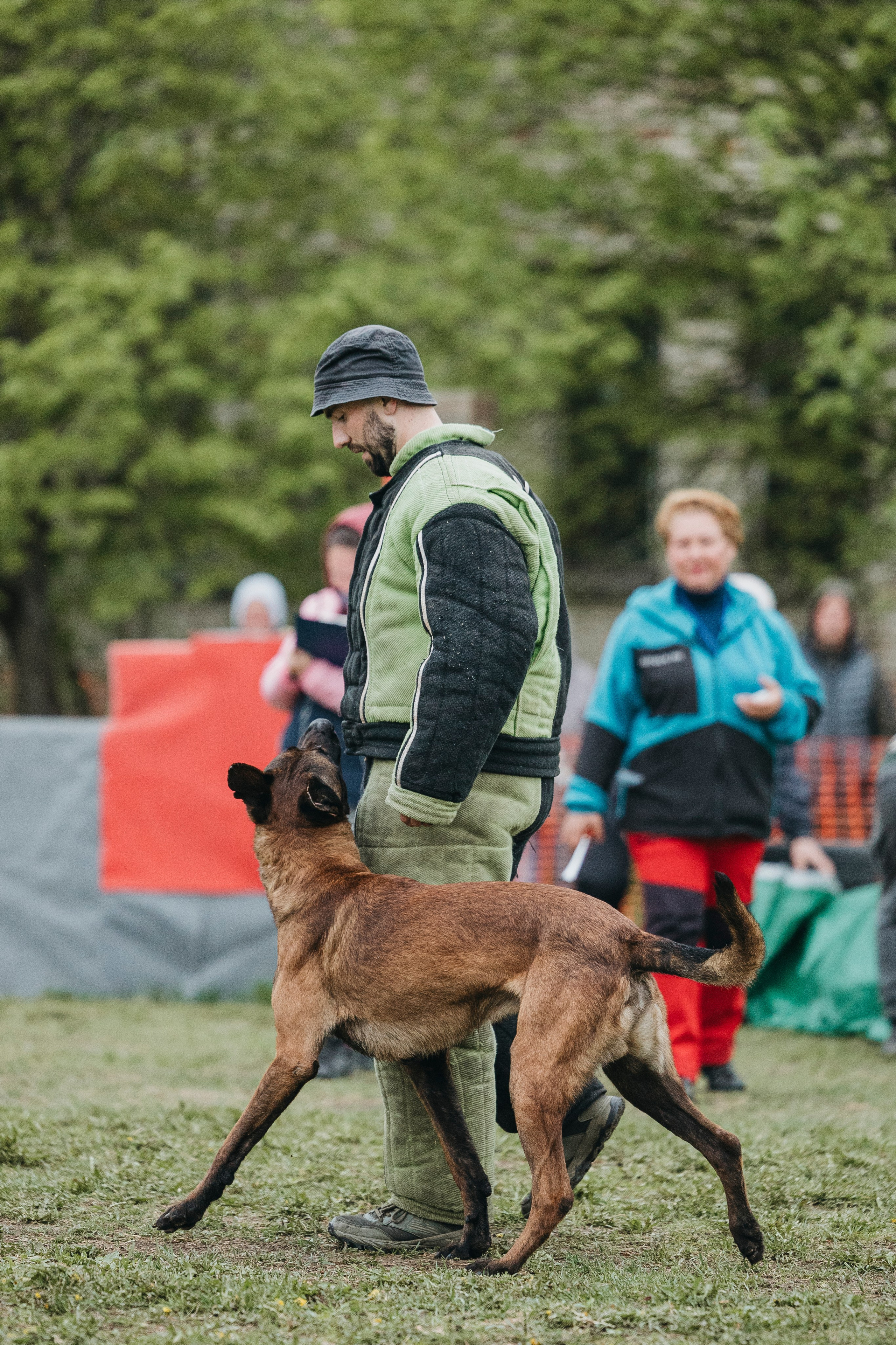 26.05.25 г. Пушкин квалификационные соревнования. Фотограф-анималист Анна Маринич