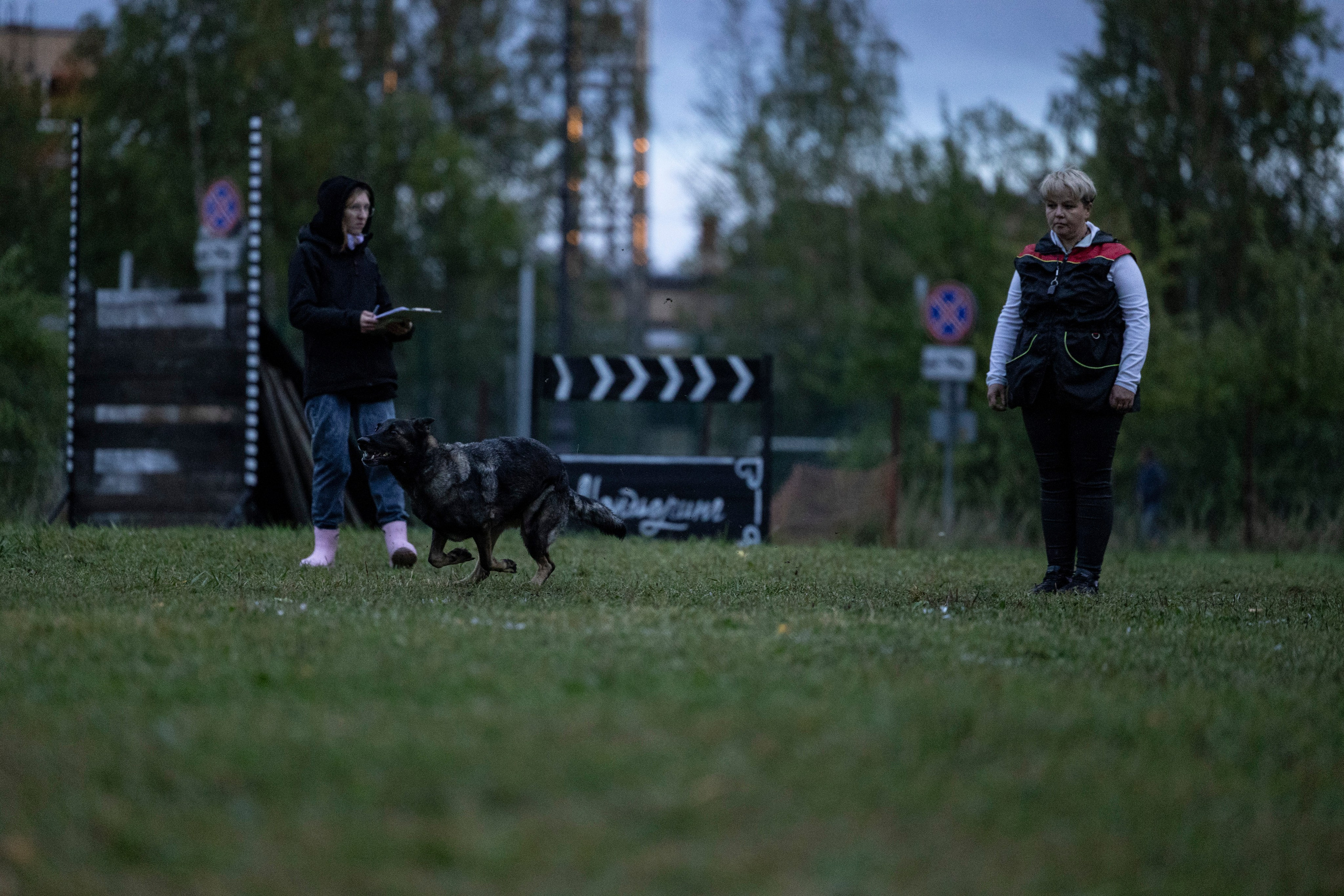 Испытания по Мондьорингу г. Пушкин. Фотограф-анималист Анна Маринич