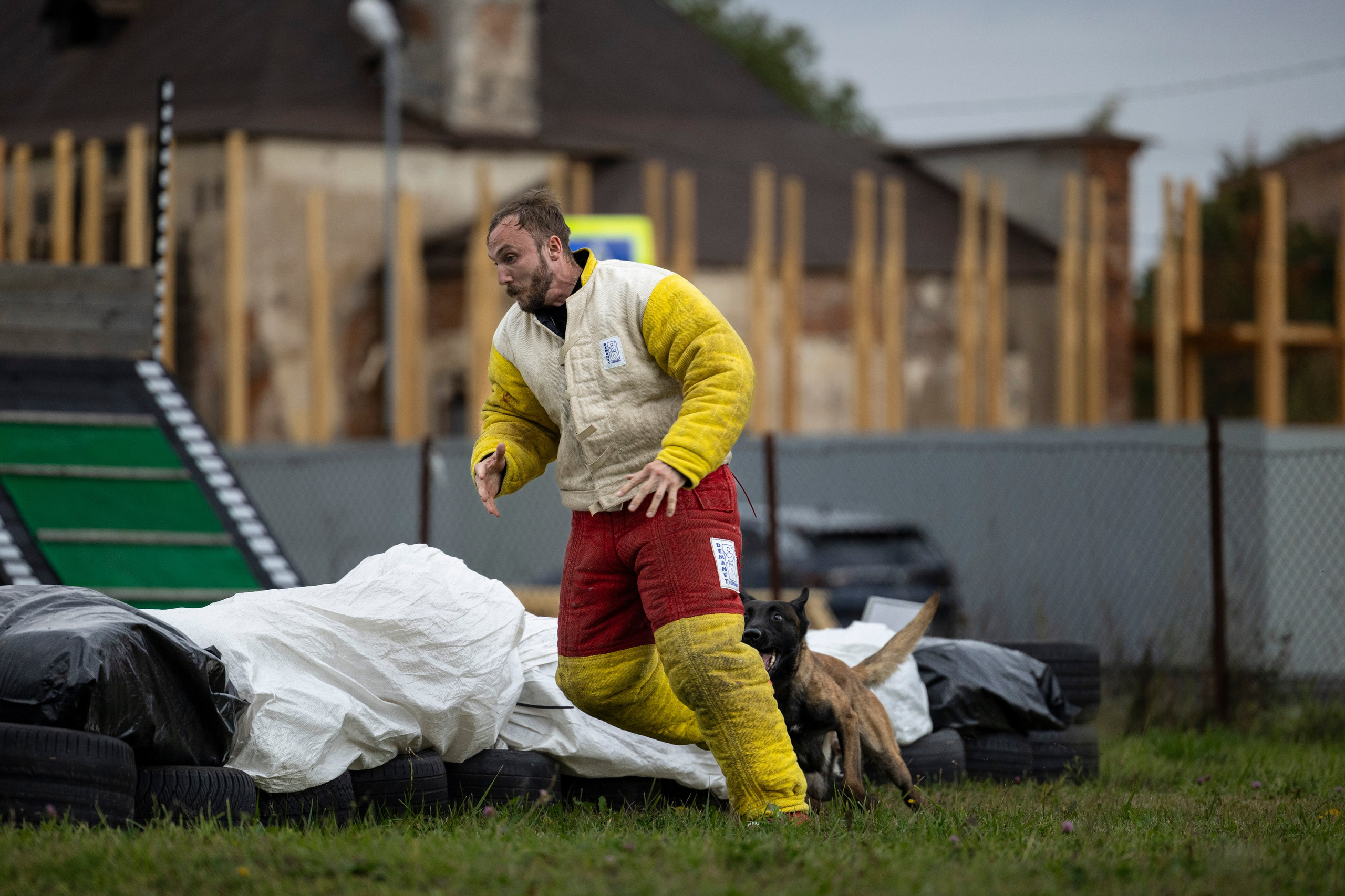 Испытания по Мондьорингу г. Пушкин. Фотограф-анималист Анна Маринич