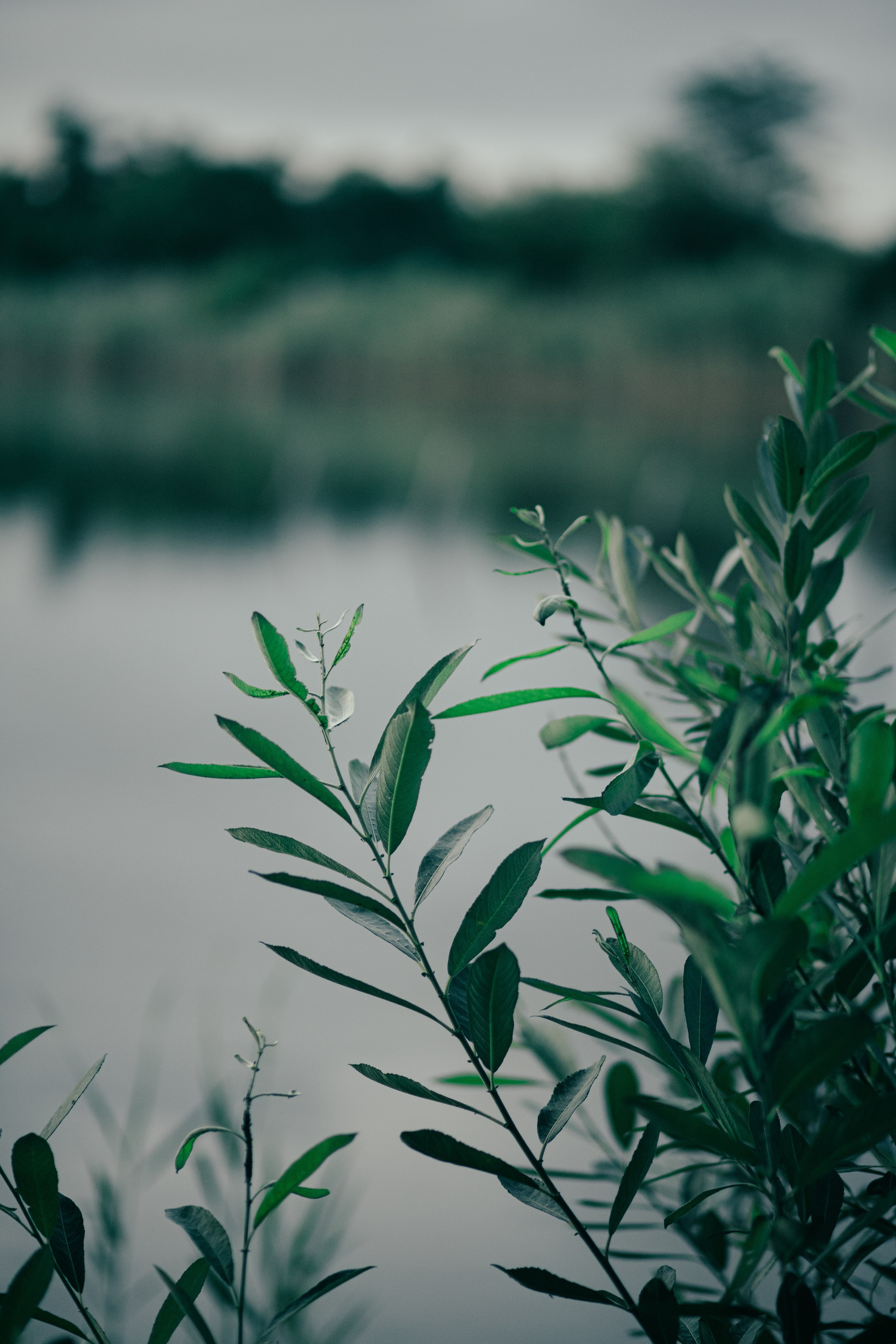 Погрузись в воду. Свадебный фотограф Кропоткин Краснодар