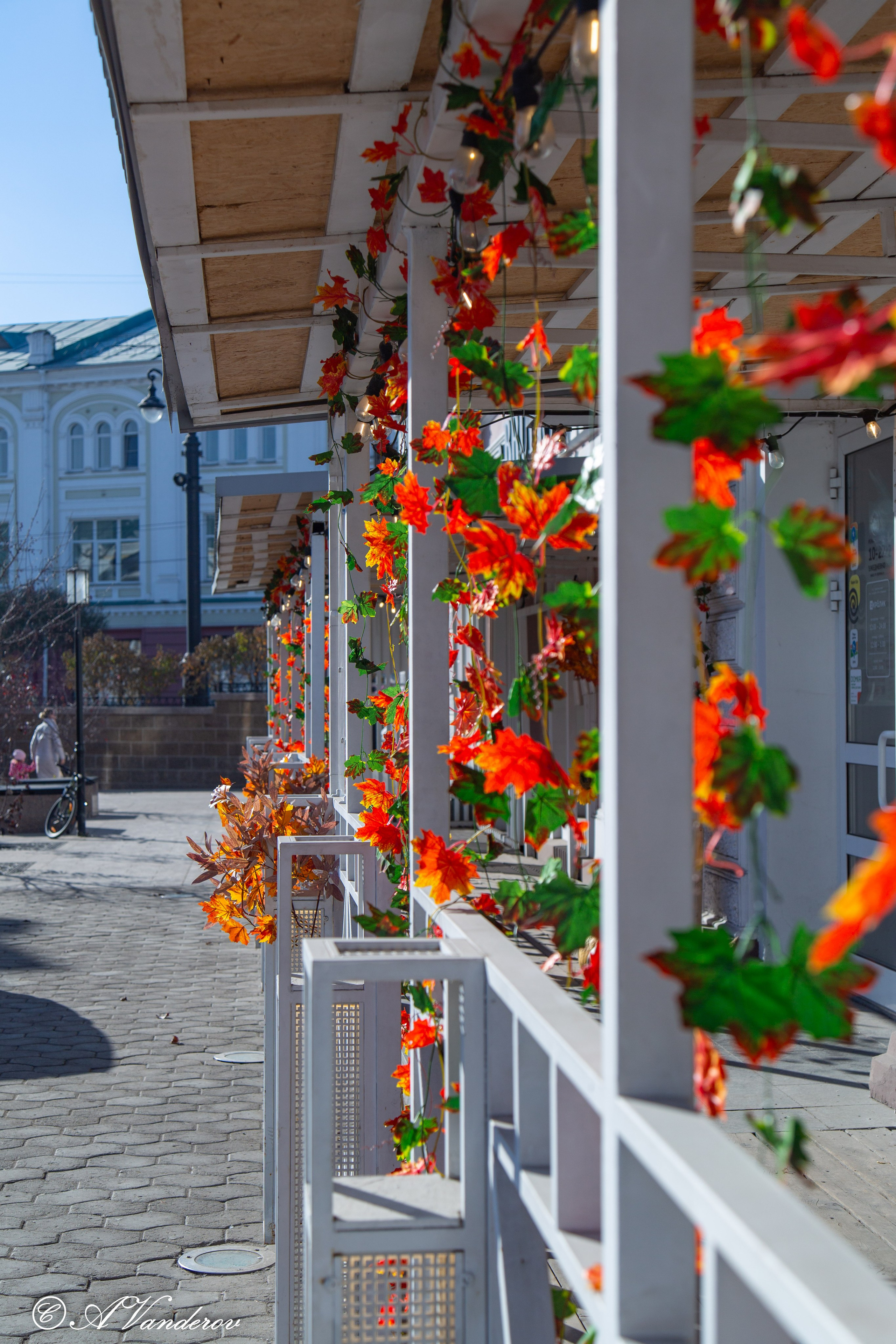 Омск 2024. Фотограф Омск | Александр Вандеров