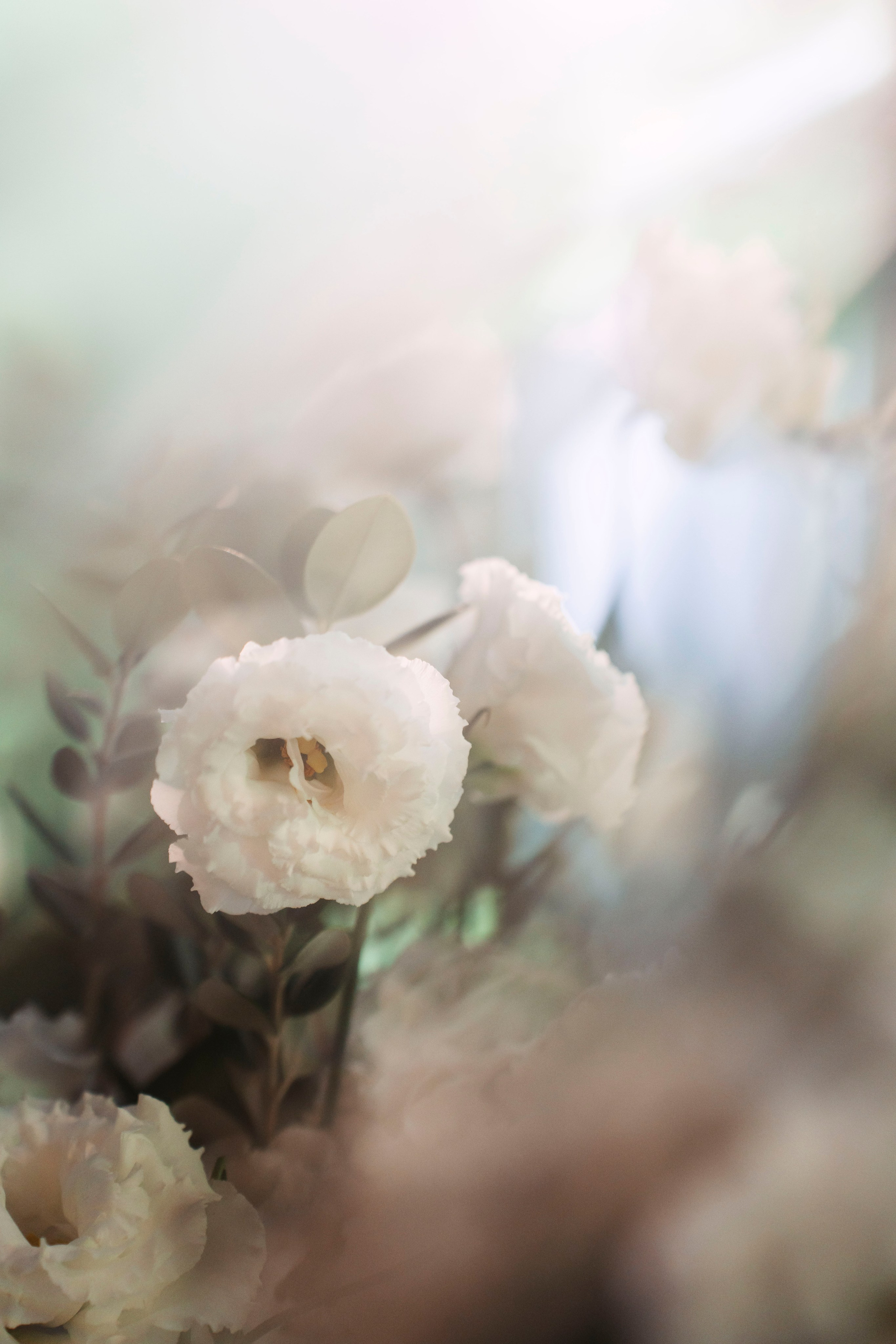 Унистрой. Арт-Премиум / 2025. Саша Копылов, фотограф в Казани