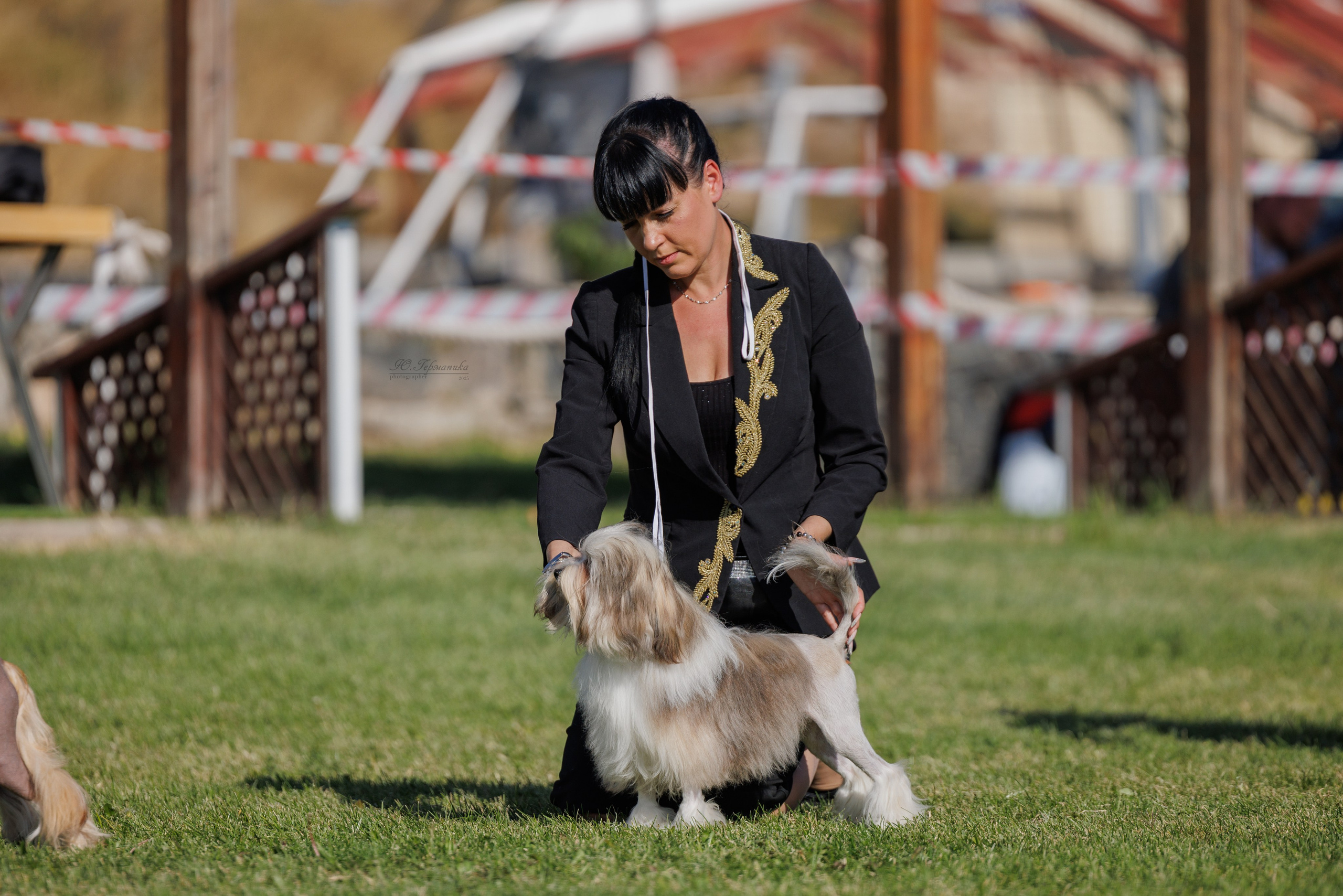 Ереван 14-16.10.2025. Фотограф-анималист Юлия Германика