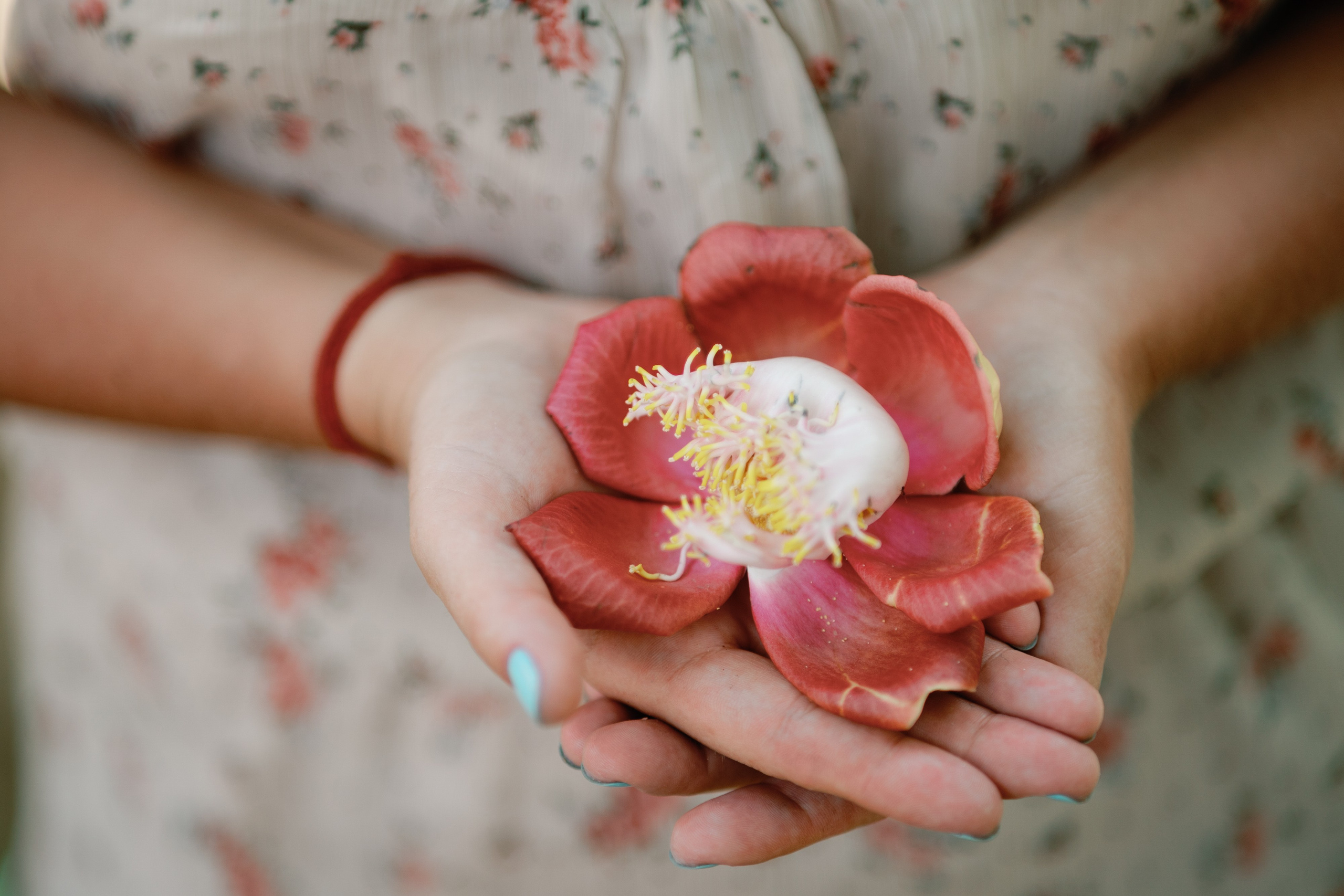 Phu Quoc photographer — Phu Quoc wedding photographer. PhuQuoc photographer — Phu Quoc wedding photographer