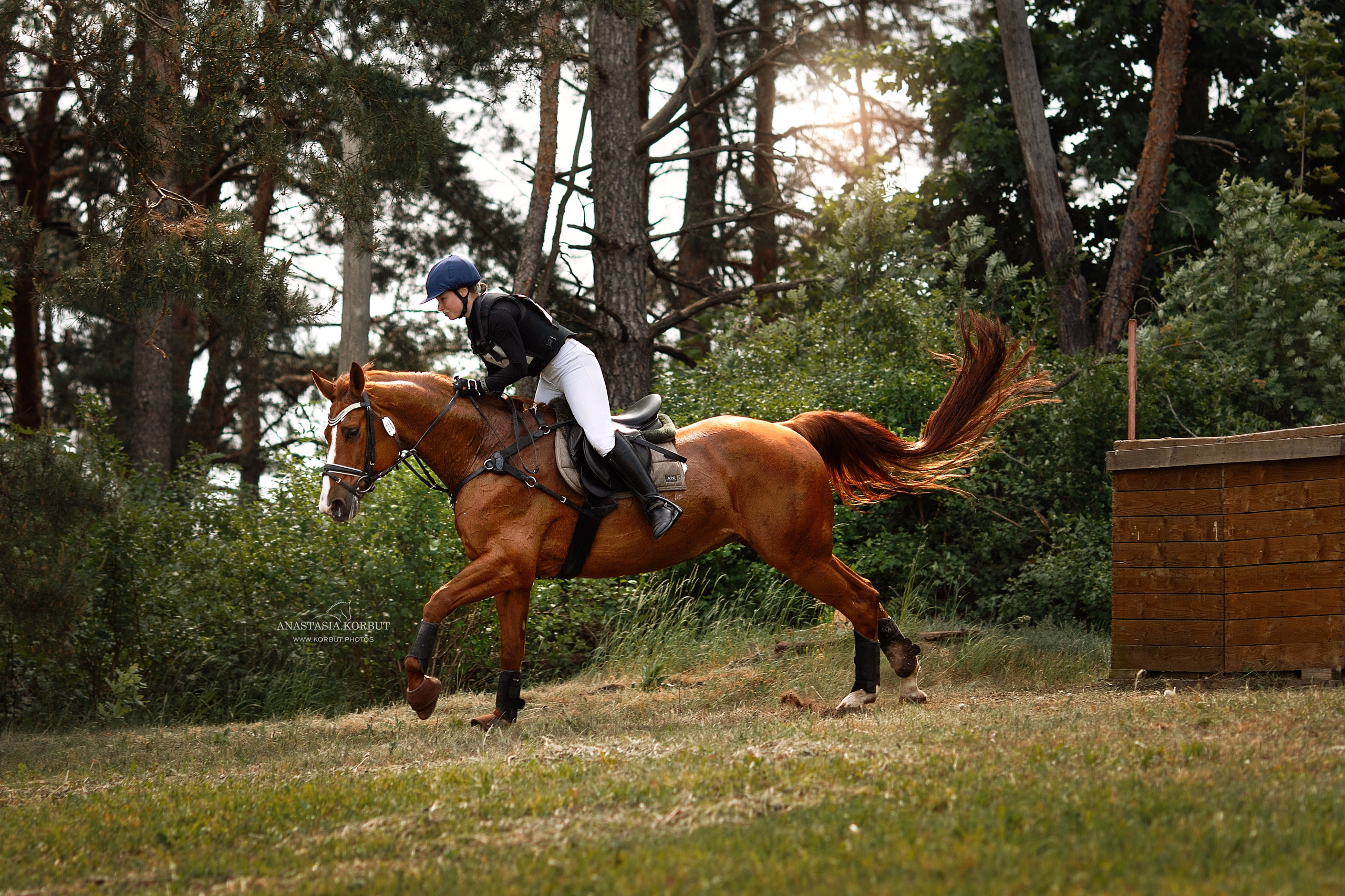 Кросс | Открытые Республиканские соревнования | Июнь 2023. Арт фотограф в Минске Анастасия Корбут