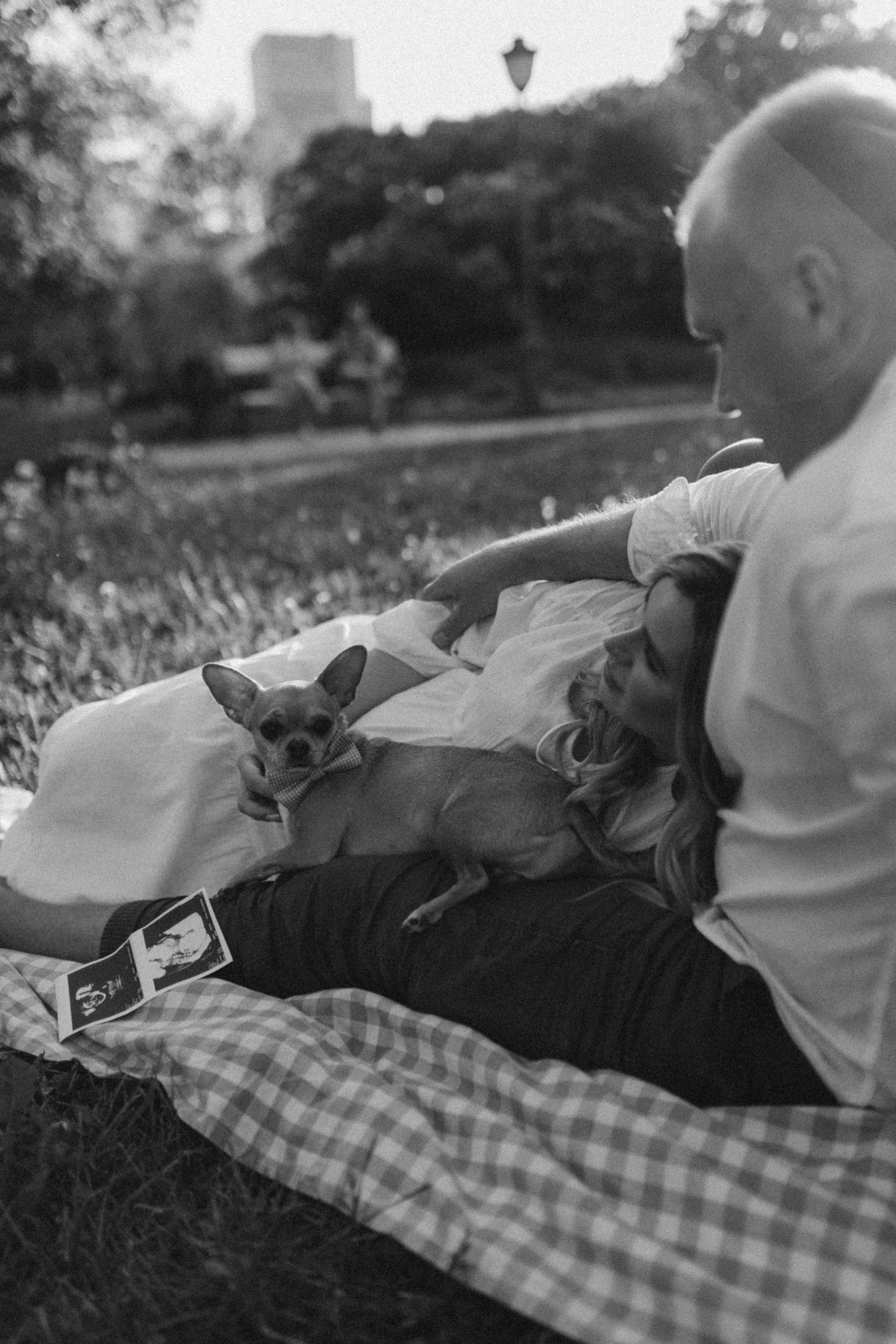 Беременная фотосессия. Семейный фотограф в Москве и Люберцах Юлия Гуськова