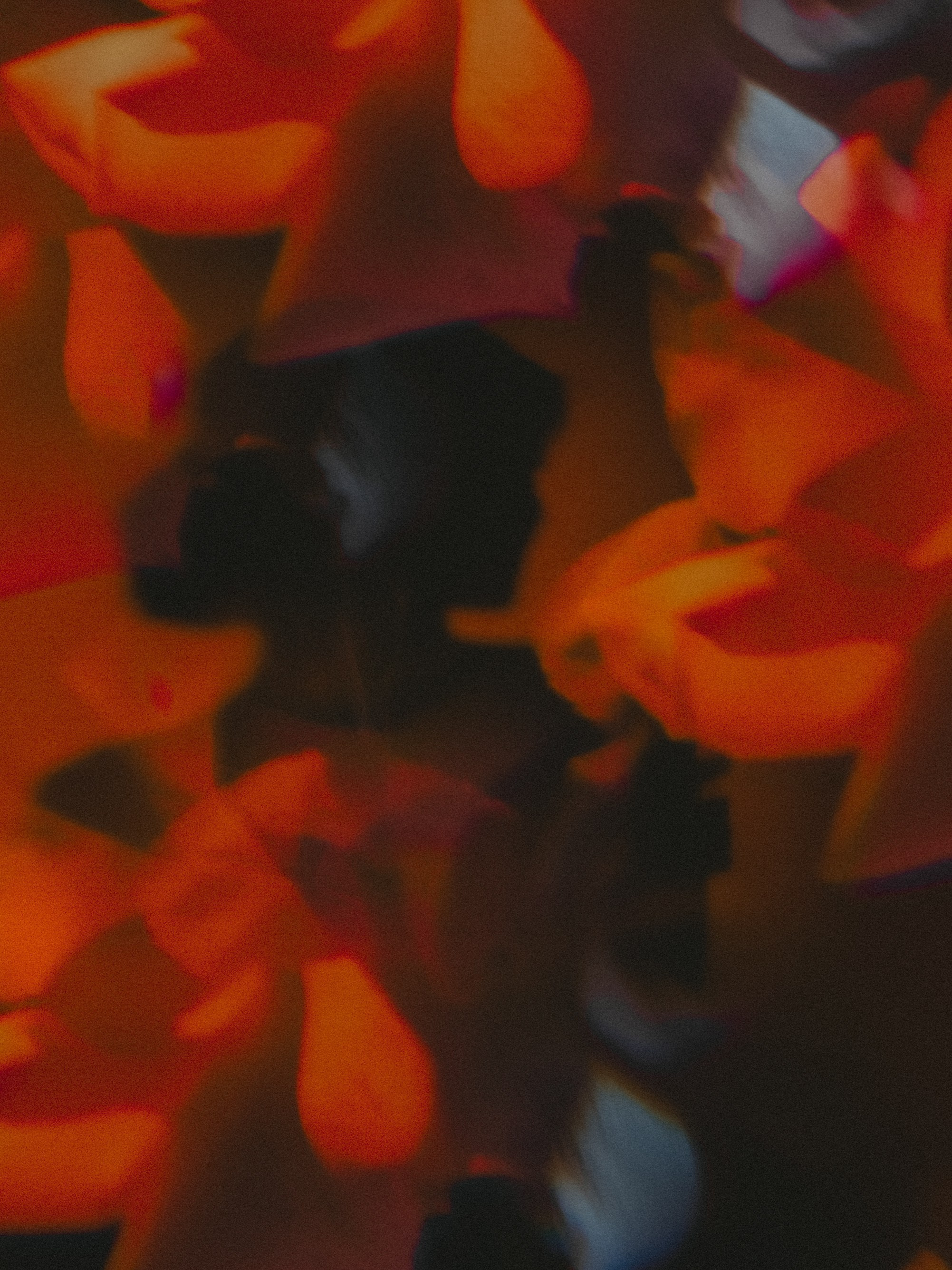 ДЕКЛАРАЦИЯ АРТИСТА. ГЛАВНАЯ